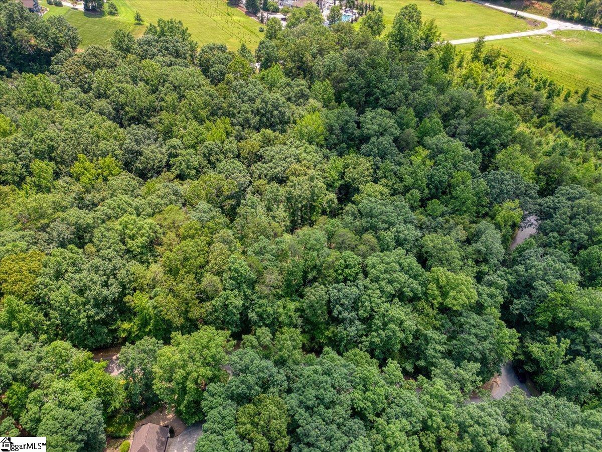 14 Alsace Way Travelers Rest, SC 29690