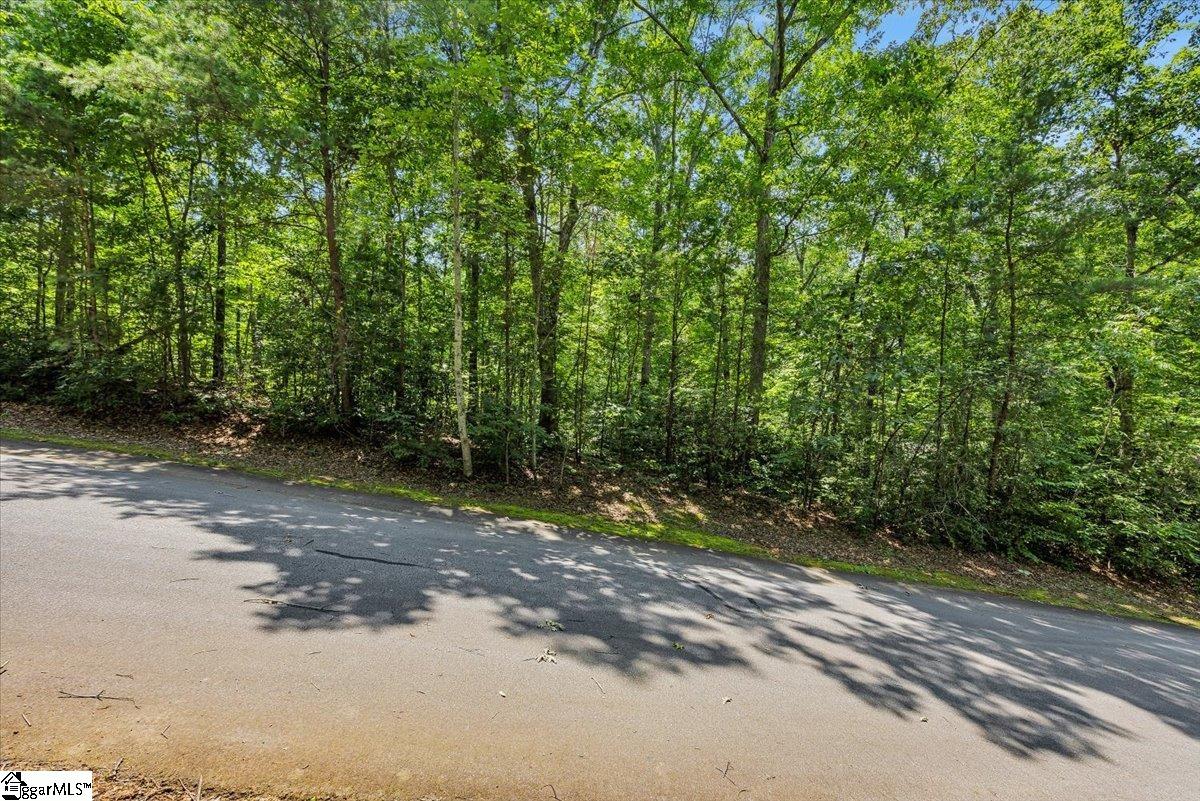 14 Alsace Way Travelers Rest, SC 29690