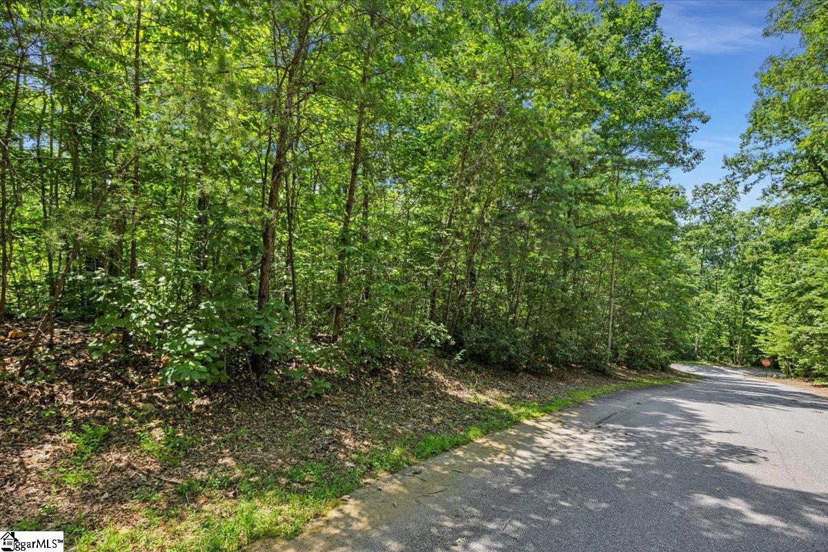 14 Alsace Way Travelers Rest, SC 29690