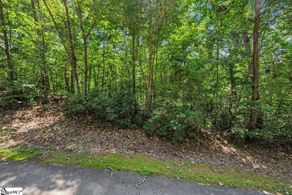 14 Alsace Way Travelers Rest, SC 29690