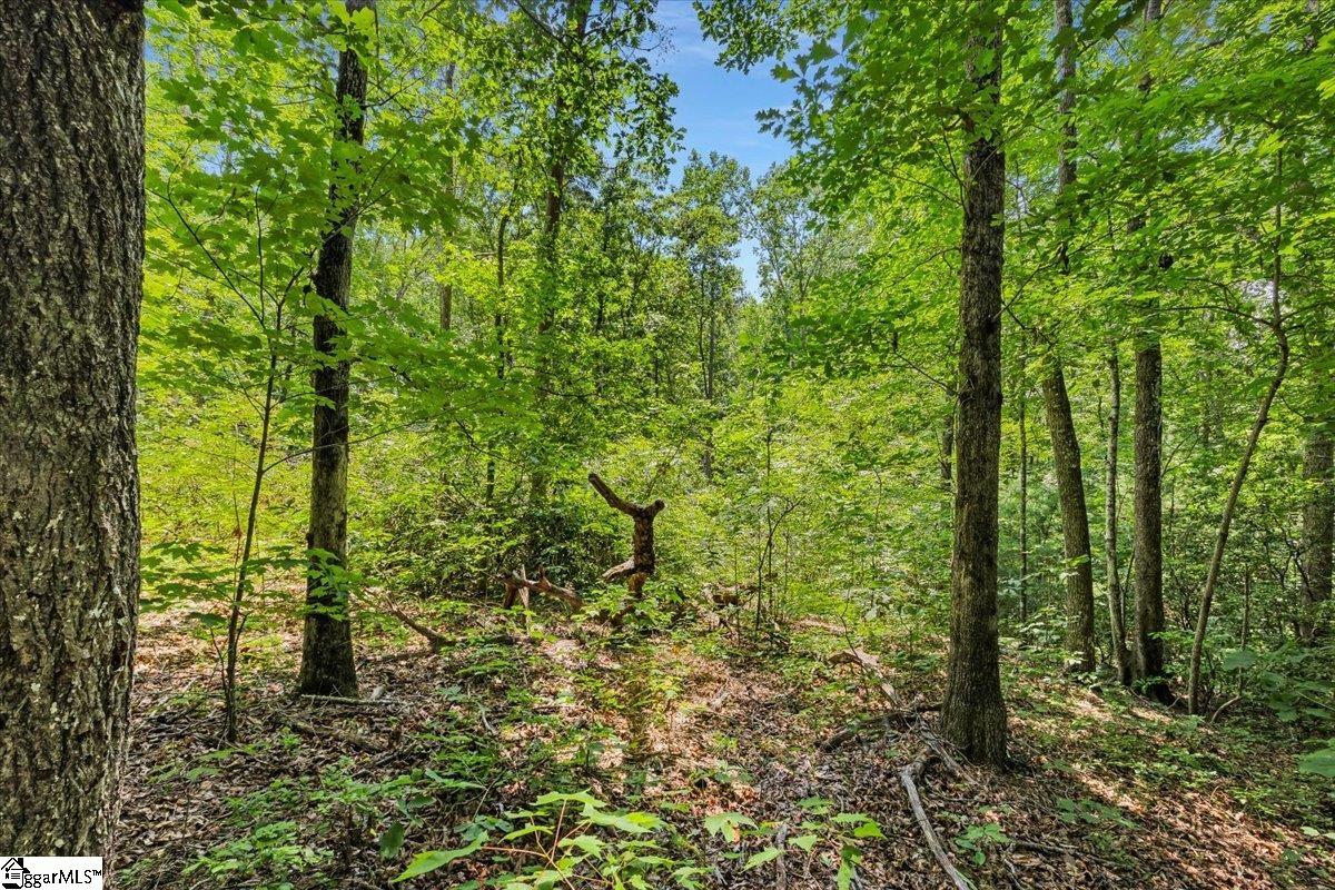 14 Alsace Way Travelers Rest, SC 29690