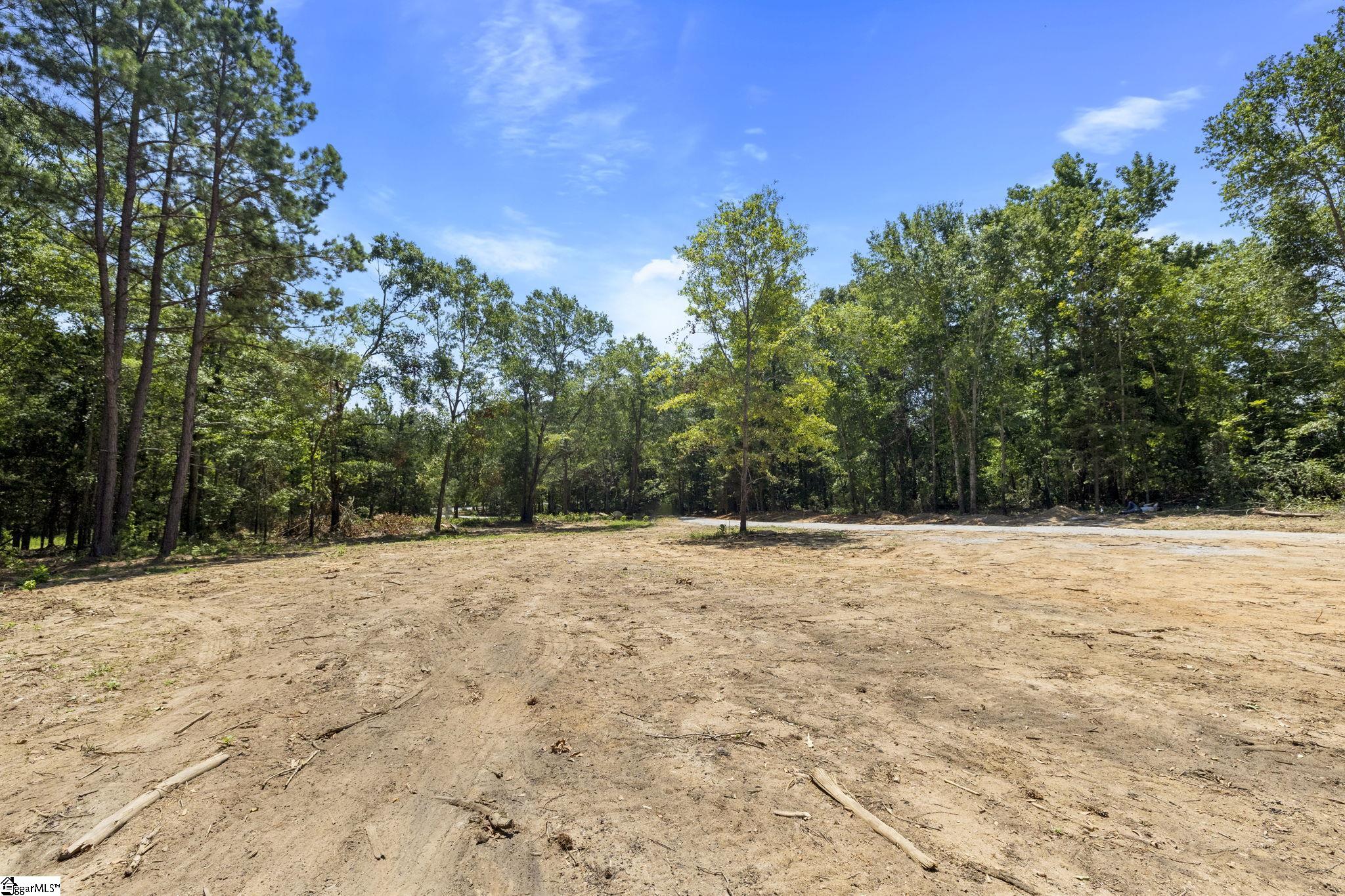 6025 Highway 101 N Gray Court, SC 29645