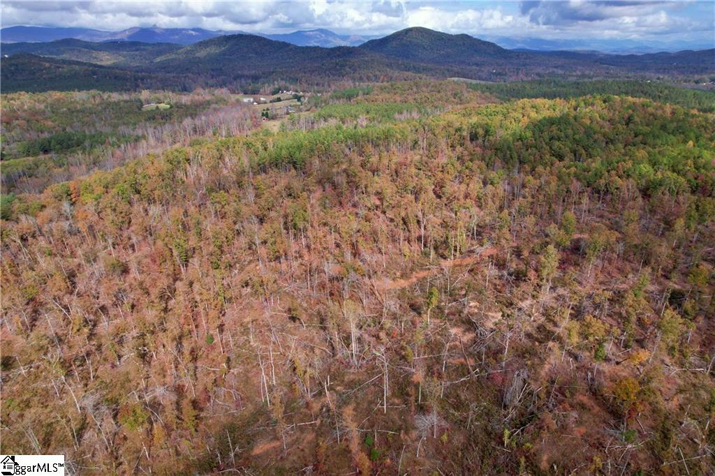 0000 Moorefield Memorial Highway Pickens, SC 29671