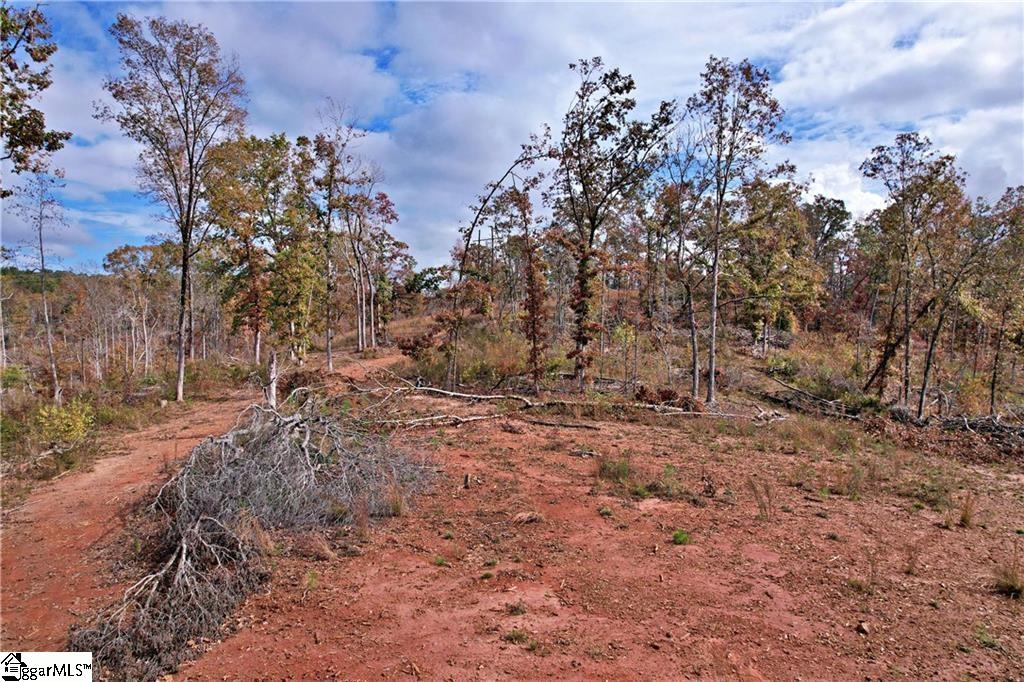 0000 Moorefield Memorial Highway Pickens, SC 29671