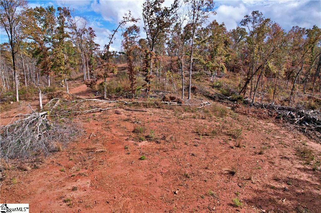 0000 Moorefield Memorial Highway Pickens, SC 29671
