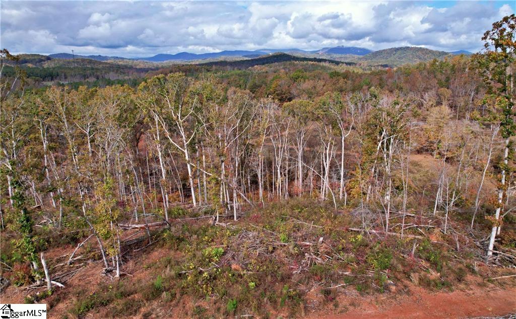 0000 Moorefield Memorial Highway Pickens, SC 29671