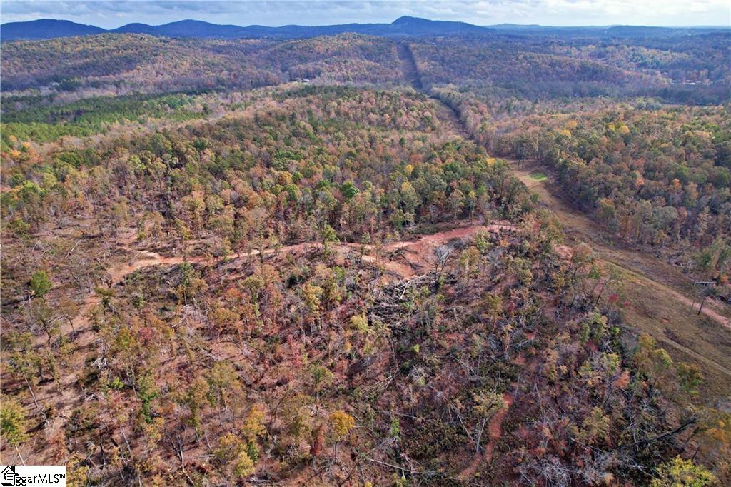 0000 Moorefield Memorial Highway Pickens, SC 29671