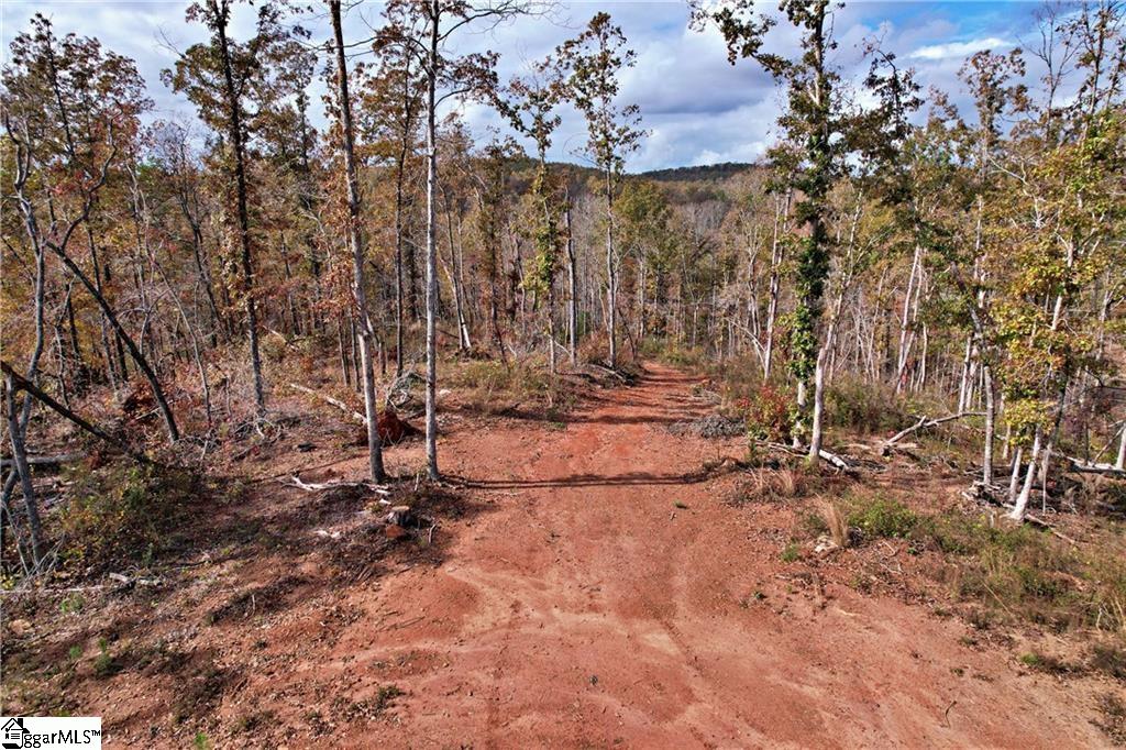 0000 Moorefield Memorial Highway Pickens, SC 29671