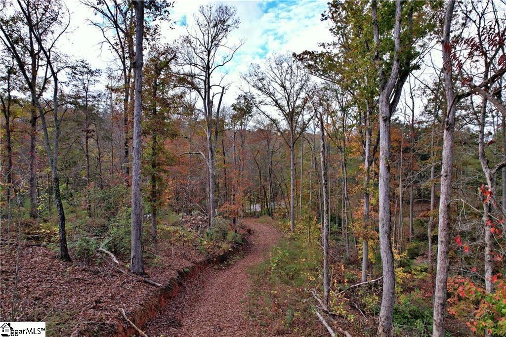 0000 Moorefield Memorial Highway Pickens, SC 29671
