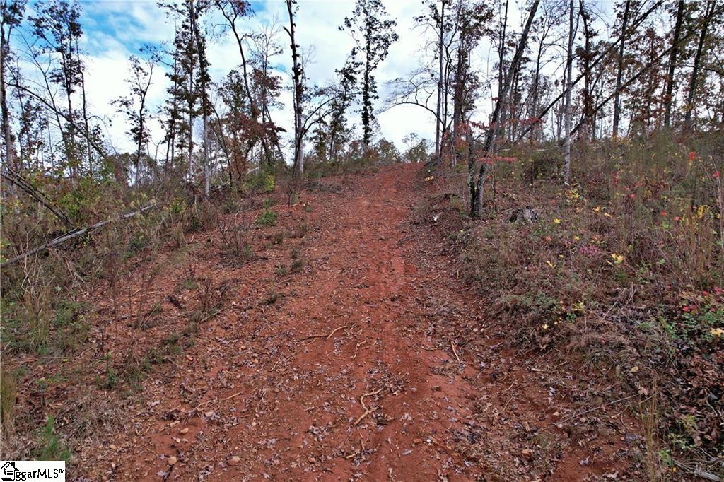 0000 Moorefield Memorial Highway Pickens, SC 29671