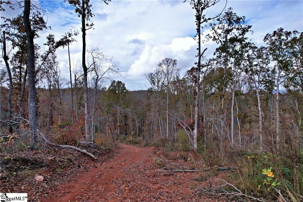 0000 Moorefield Memorial Highway Pickens, SC 29671