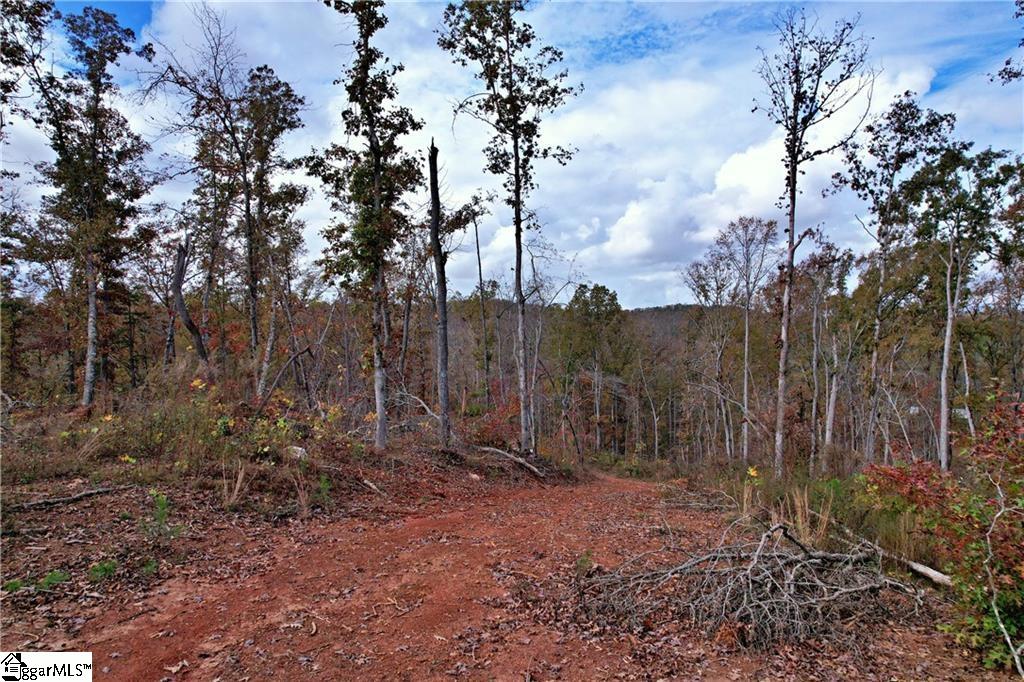 0000 Moorefield Memorial Highway Pickens, SC 29671