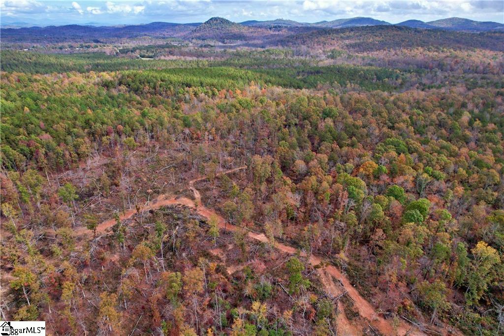 0000 Moorefield Memorial Highway Pickens, SC 29671