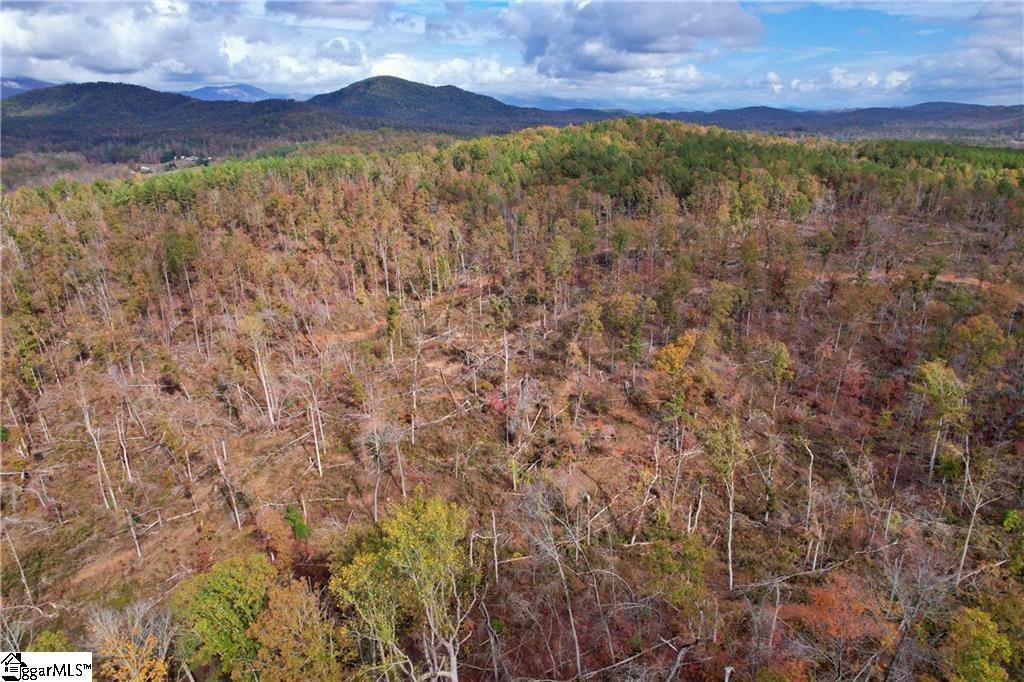 0000 Moorefield Memorial Highway Pickens, SC 29671