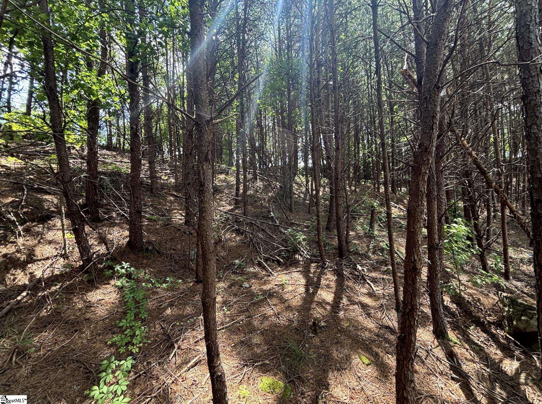 00 New Woodruff Road Greer, SC 29651