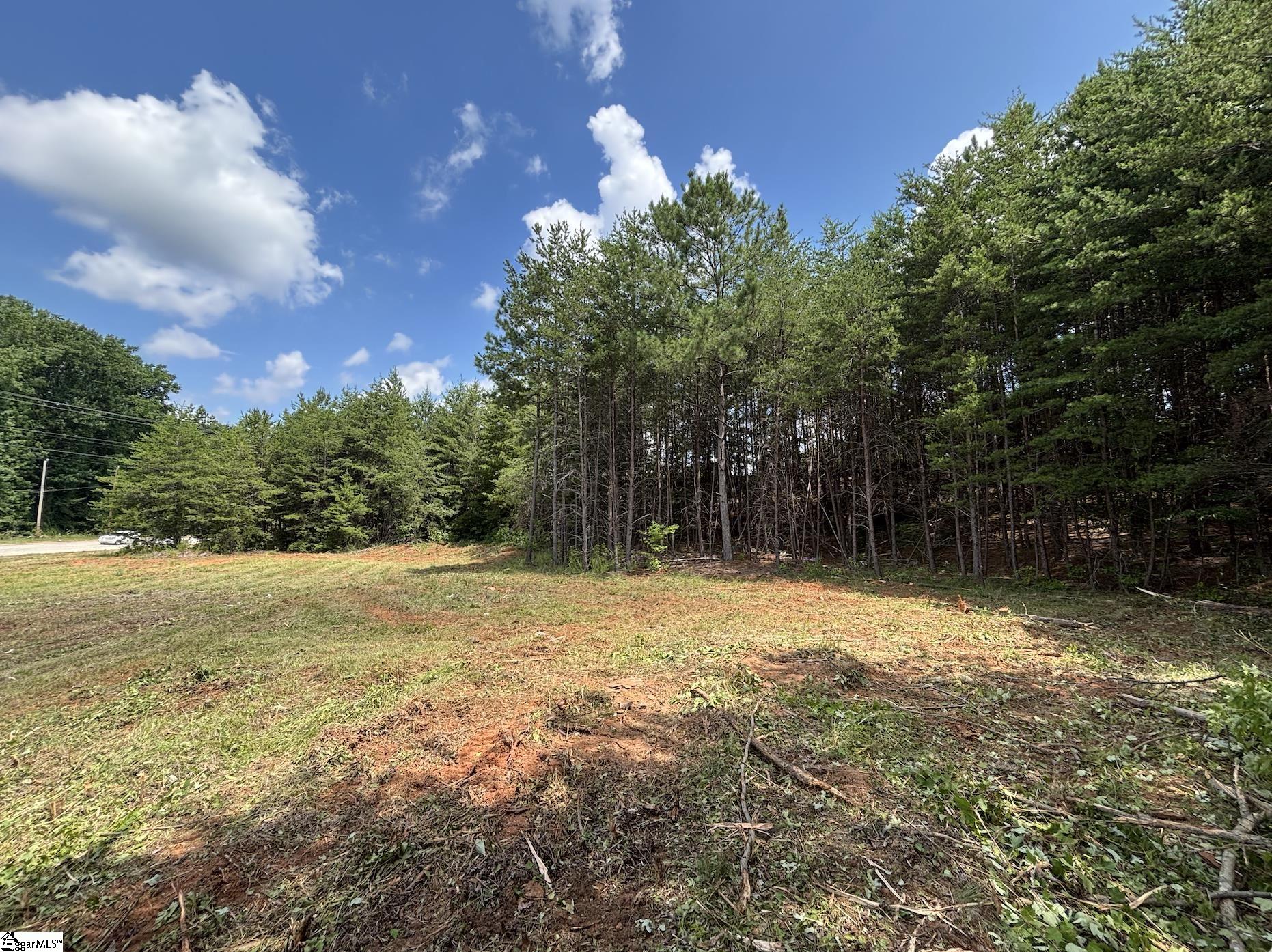 00 New Woodruff Road Greer, SC 29651