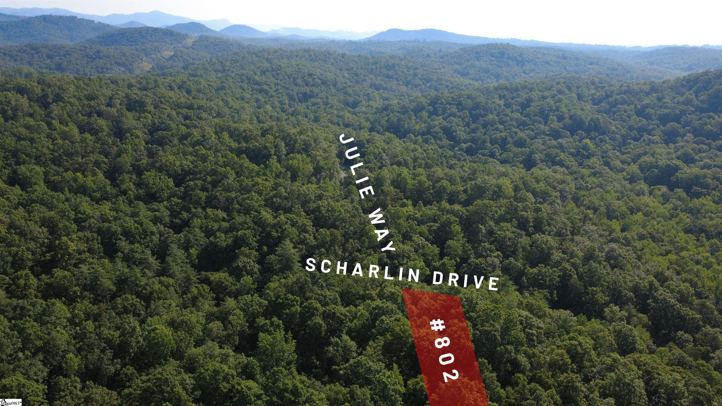 802 Scharlin Drive Pickens, SC 29671