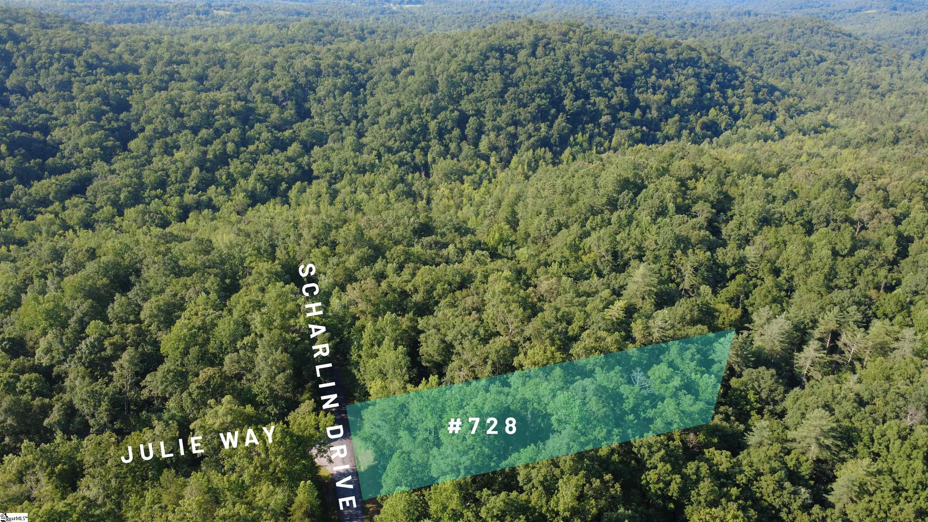 728 Scharlin Drive Pickens, SC 29672