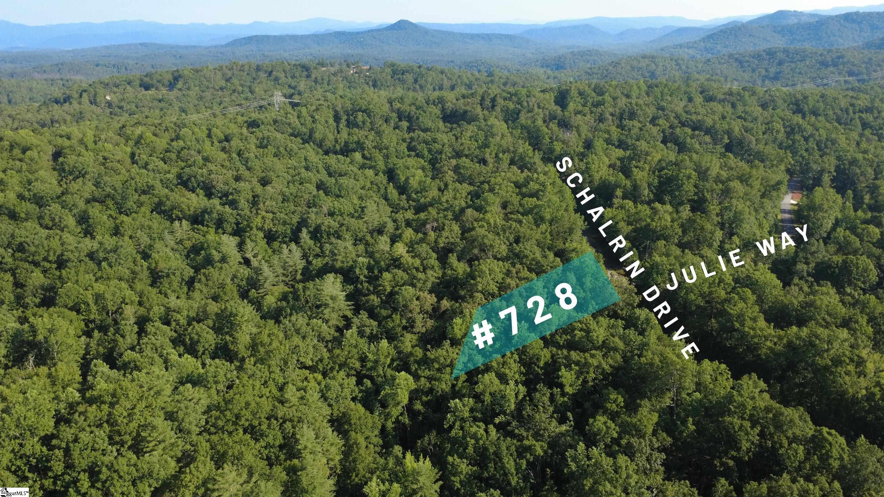 728 Scharlin Drive Pickens, SC 29672