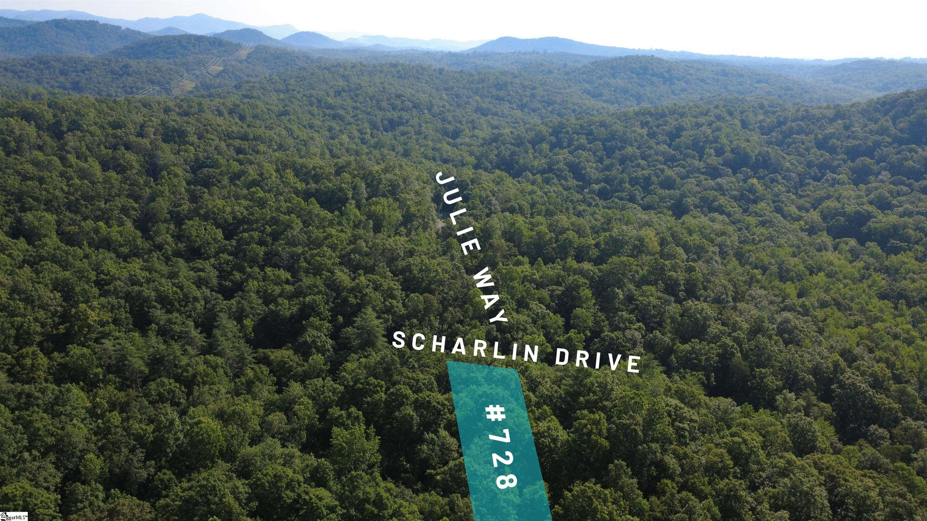 728 Scharlin Drive Pickens, SC 29672