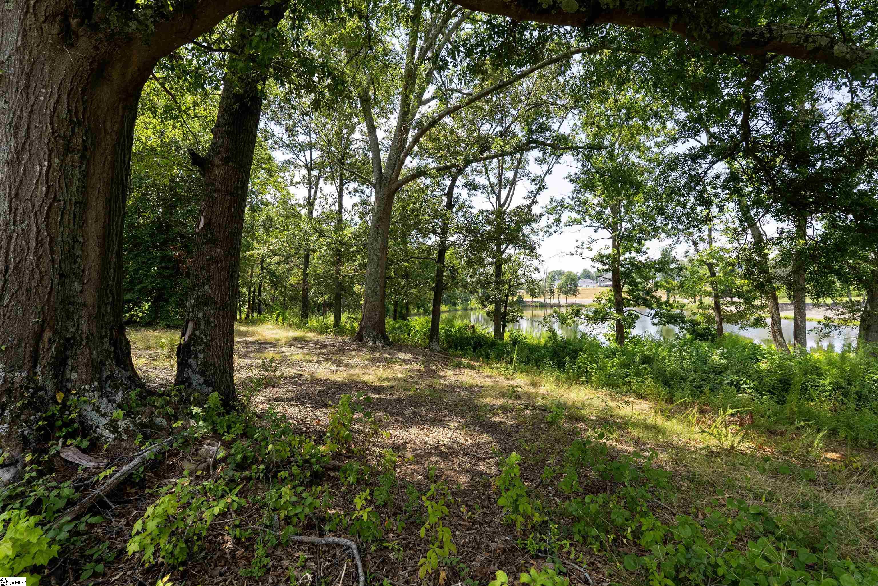 809 Moselle Court Greer, SC 29651