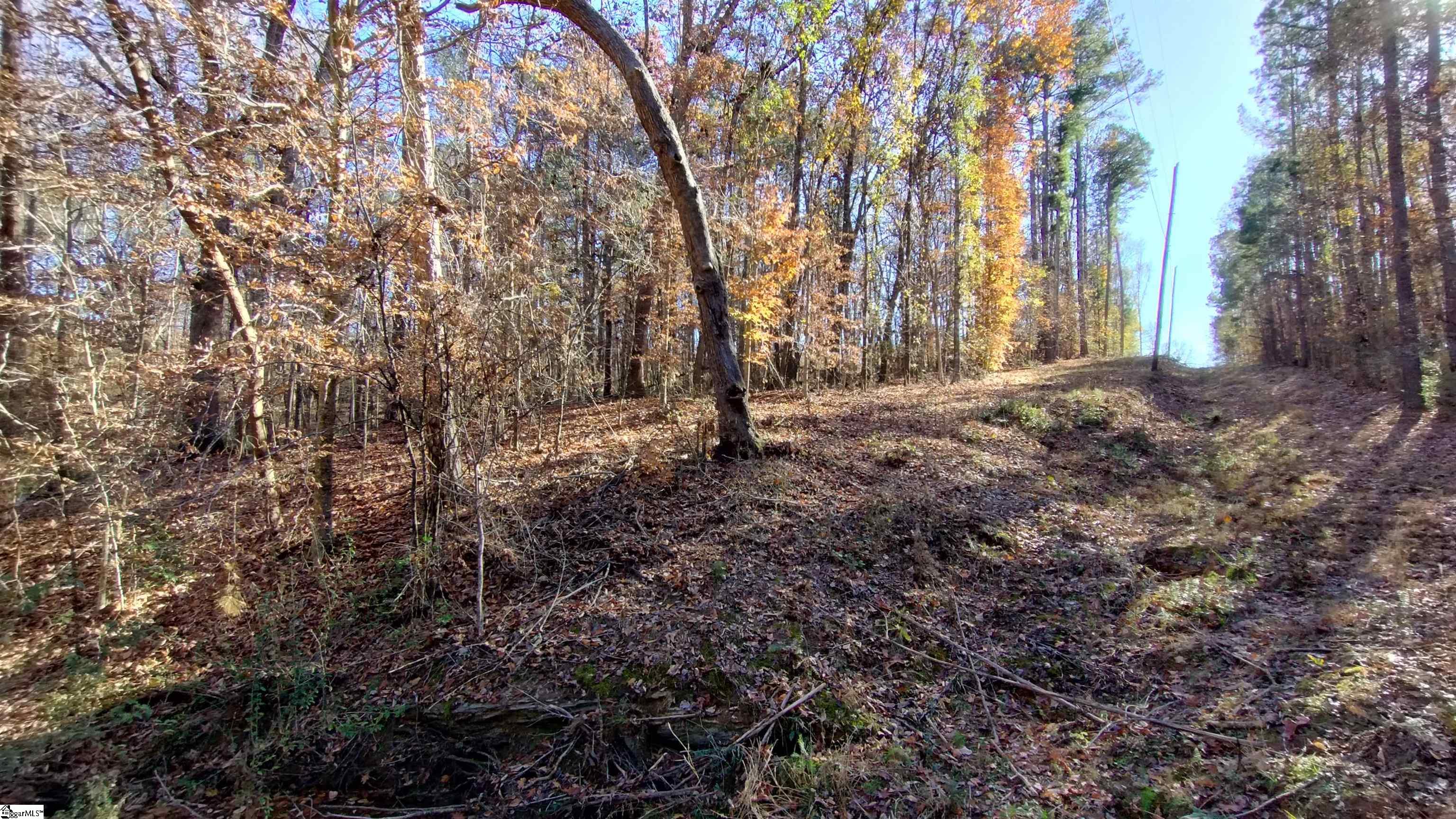00A Blair Road Laurens, SC 29360-8315