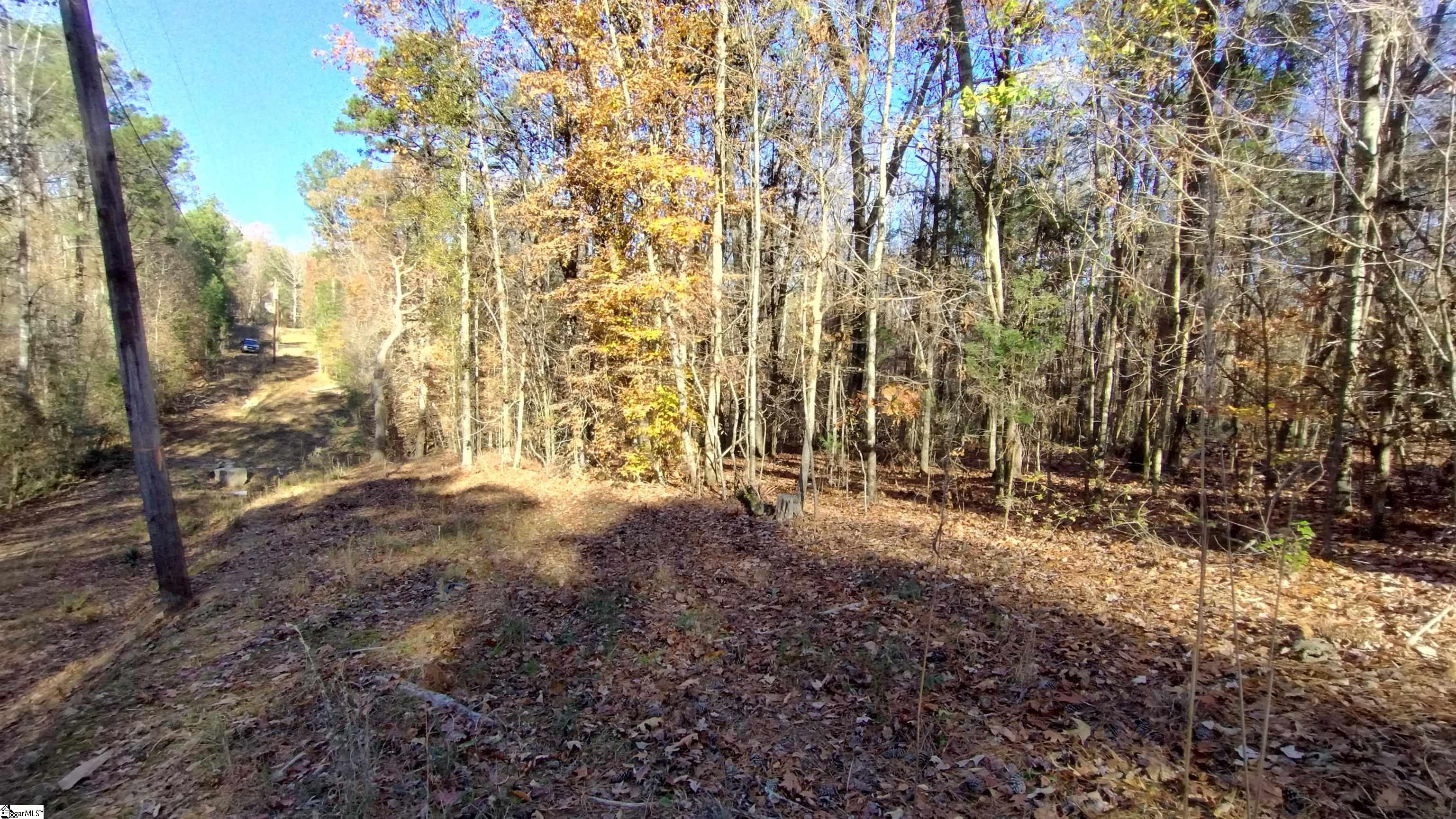 00A Blair Road Laurens, SC 29360-8315