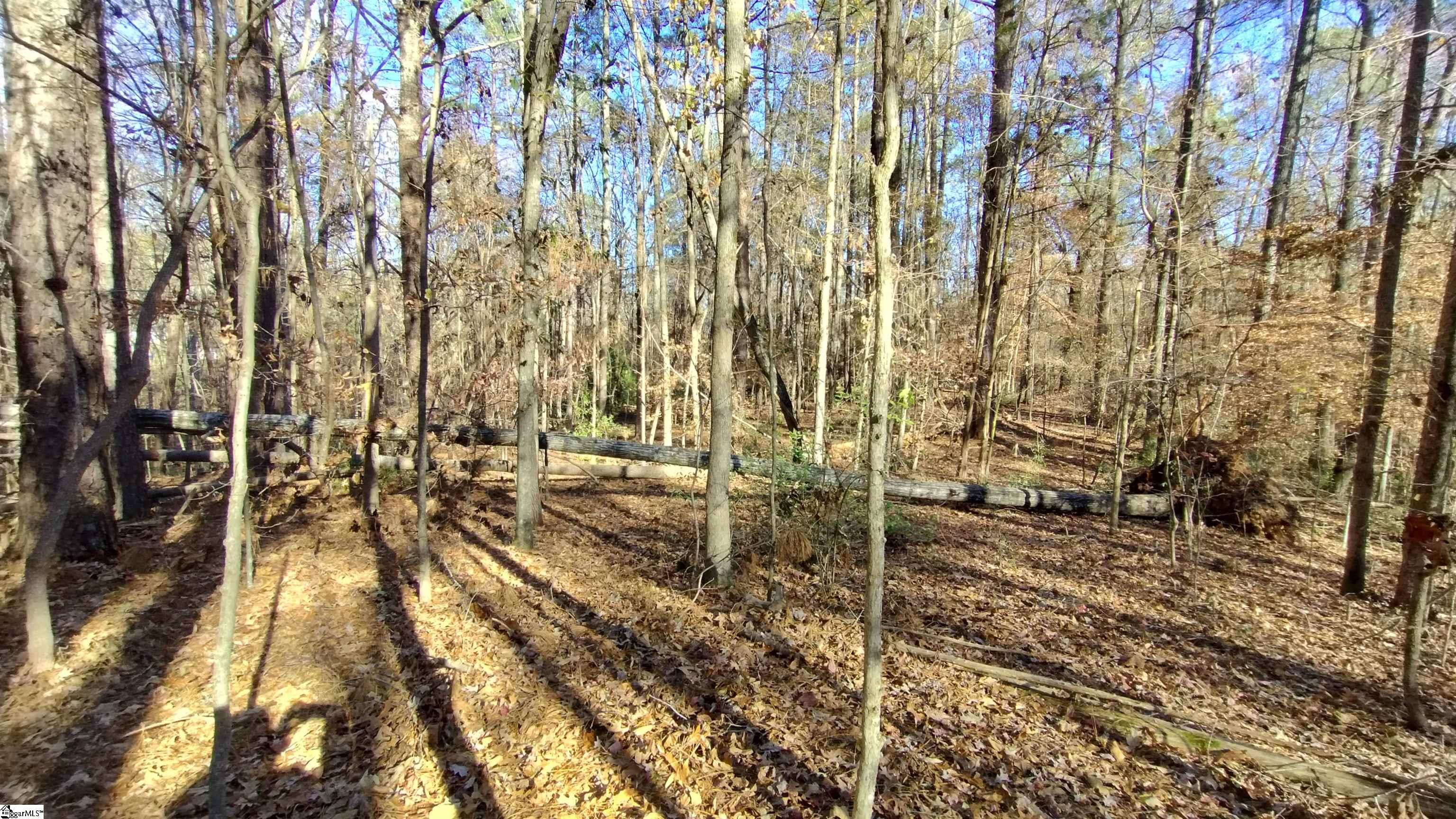 00A Blair Road Laurens, SC 29360-8315