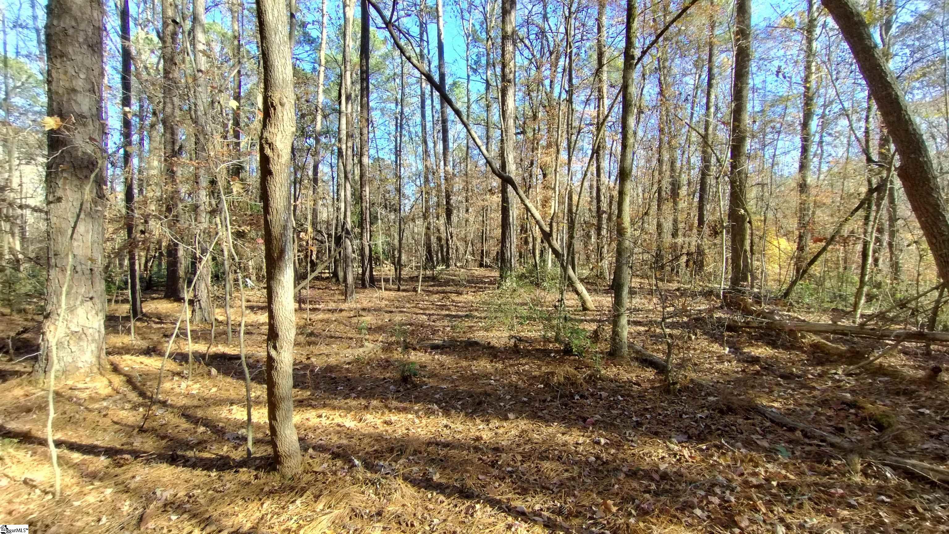 00A Blair Road Laurens, SC 29360-8315