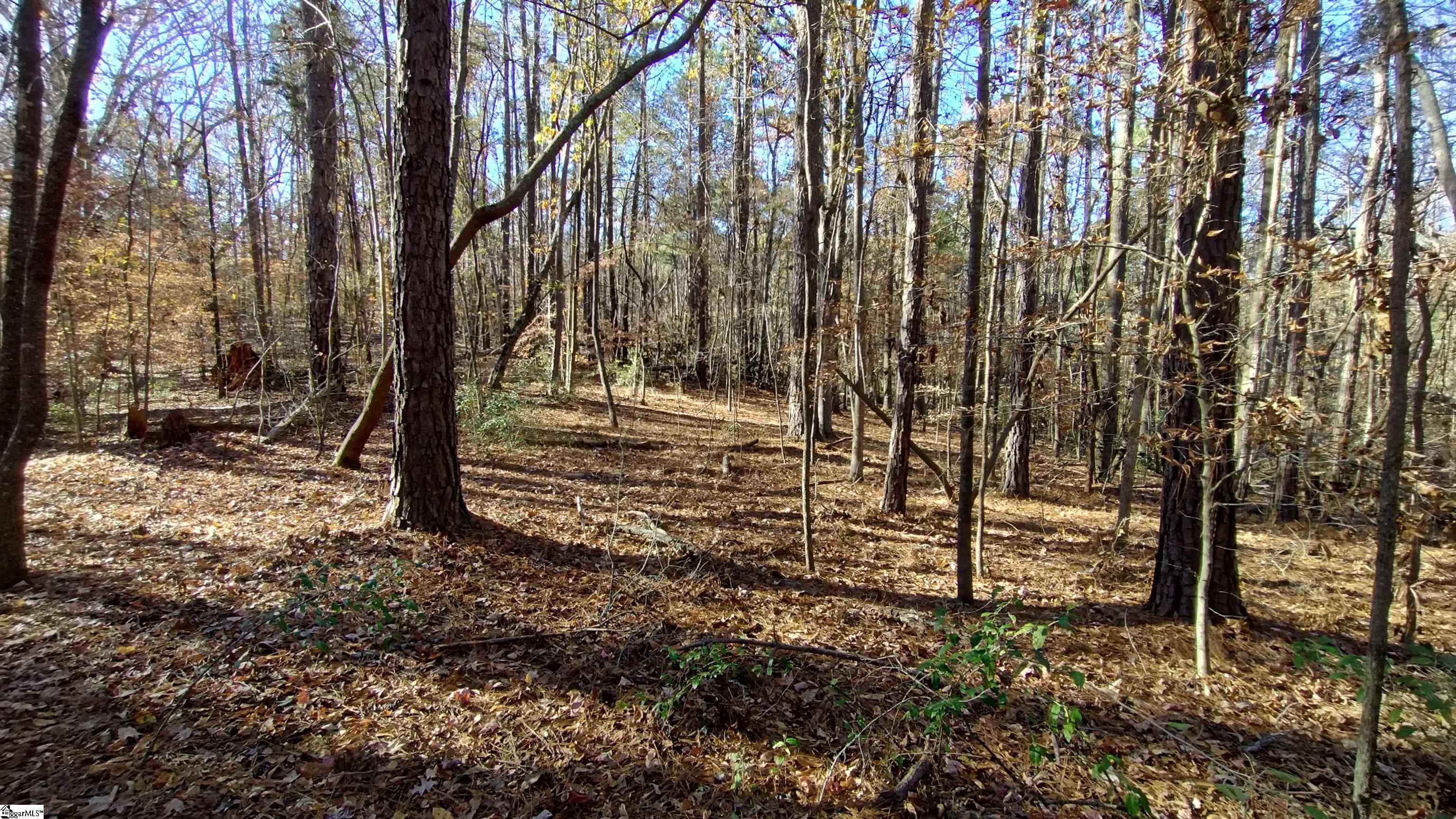 00A Blair Road Laurens, SC 29360-8315