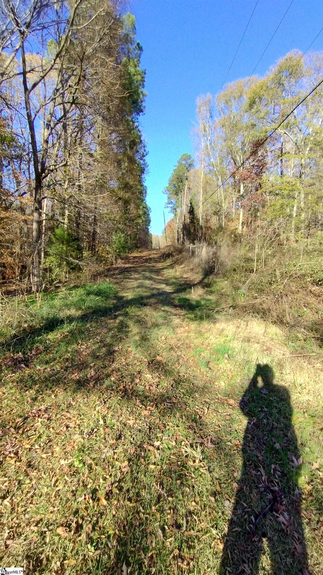 00A Patterson Road Laurens, SC 29360-8315