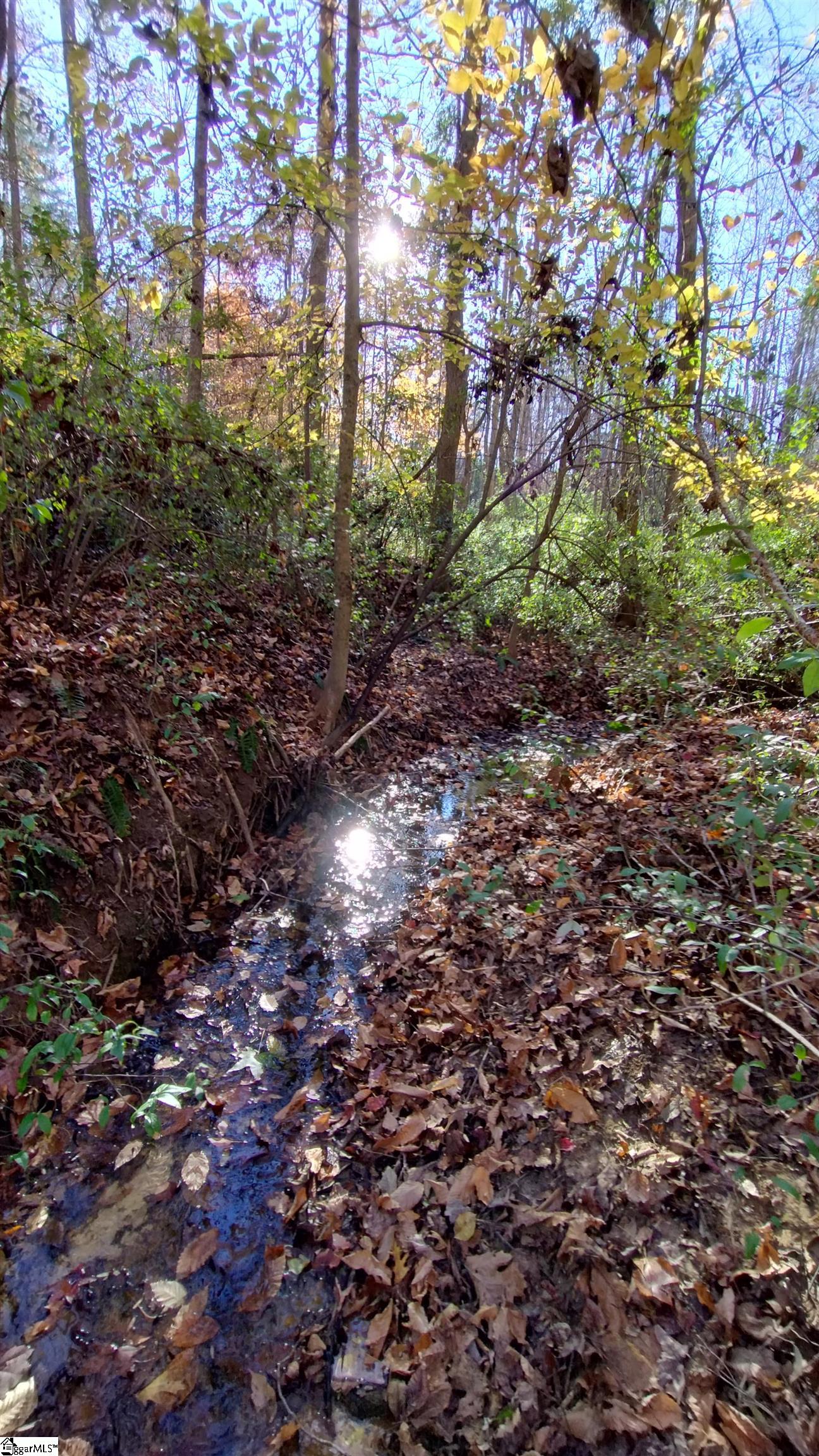 00A Patterson Road Laurens, SC 29360-8315