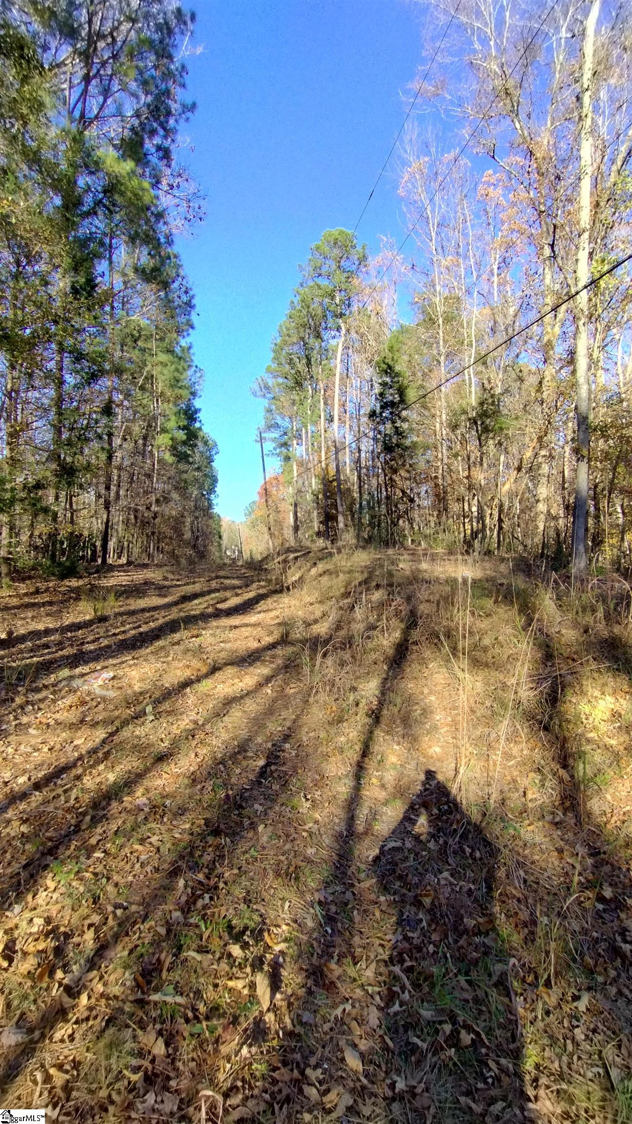 00A Patterson Road Laurens, SC 29360-8315