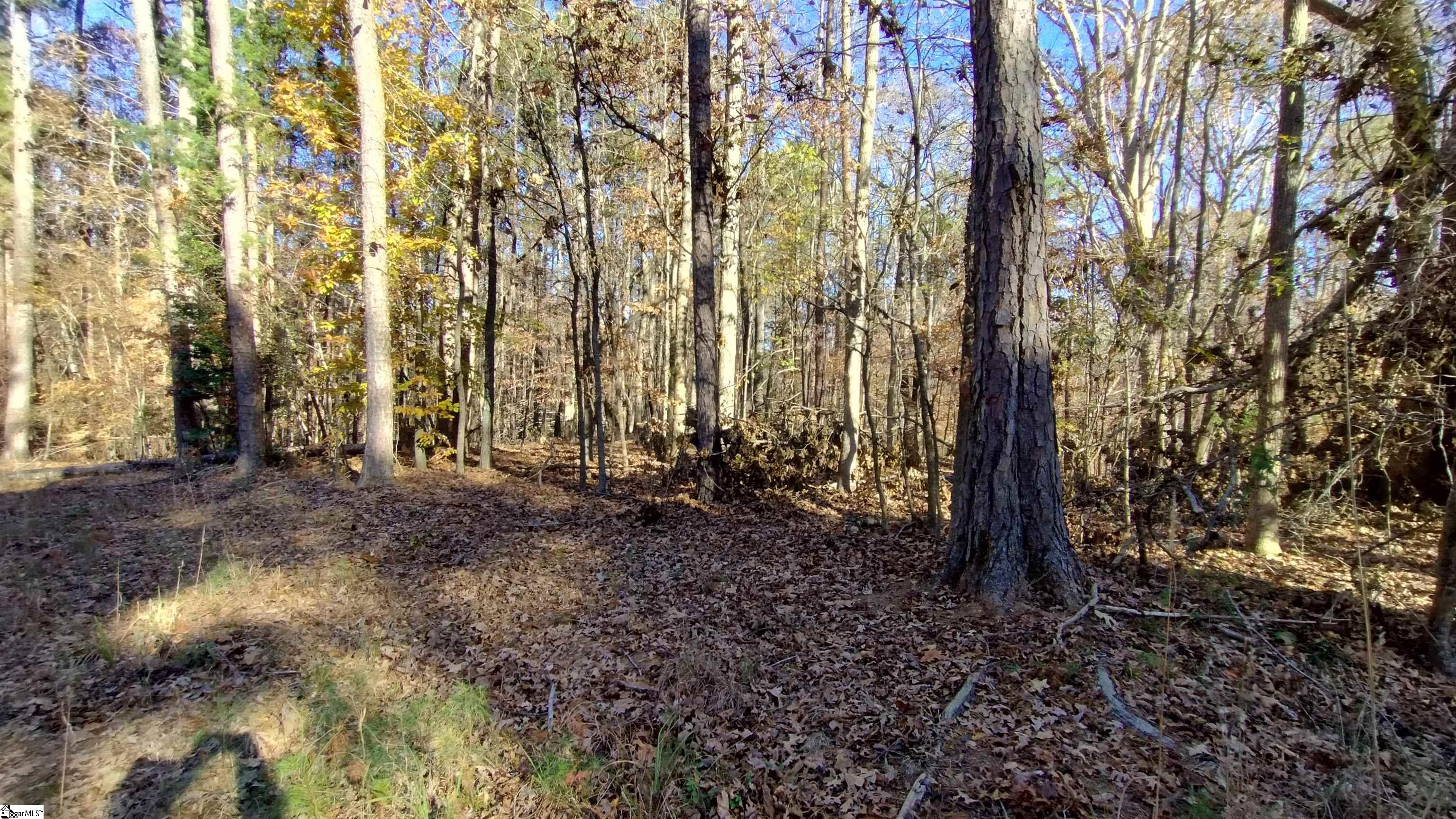 00A Patterson Road Laurens, SC 29360-8315