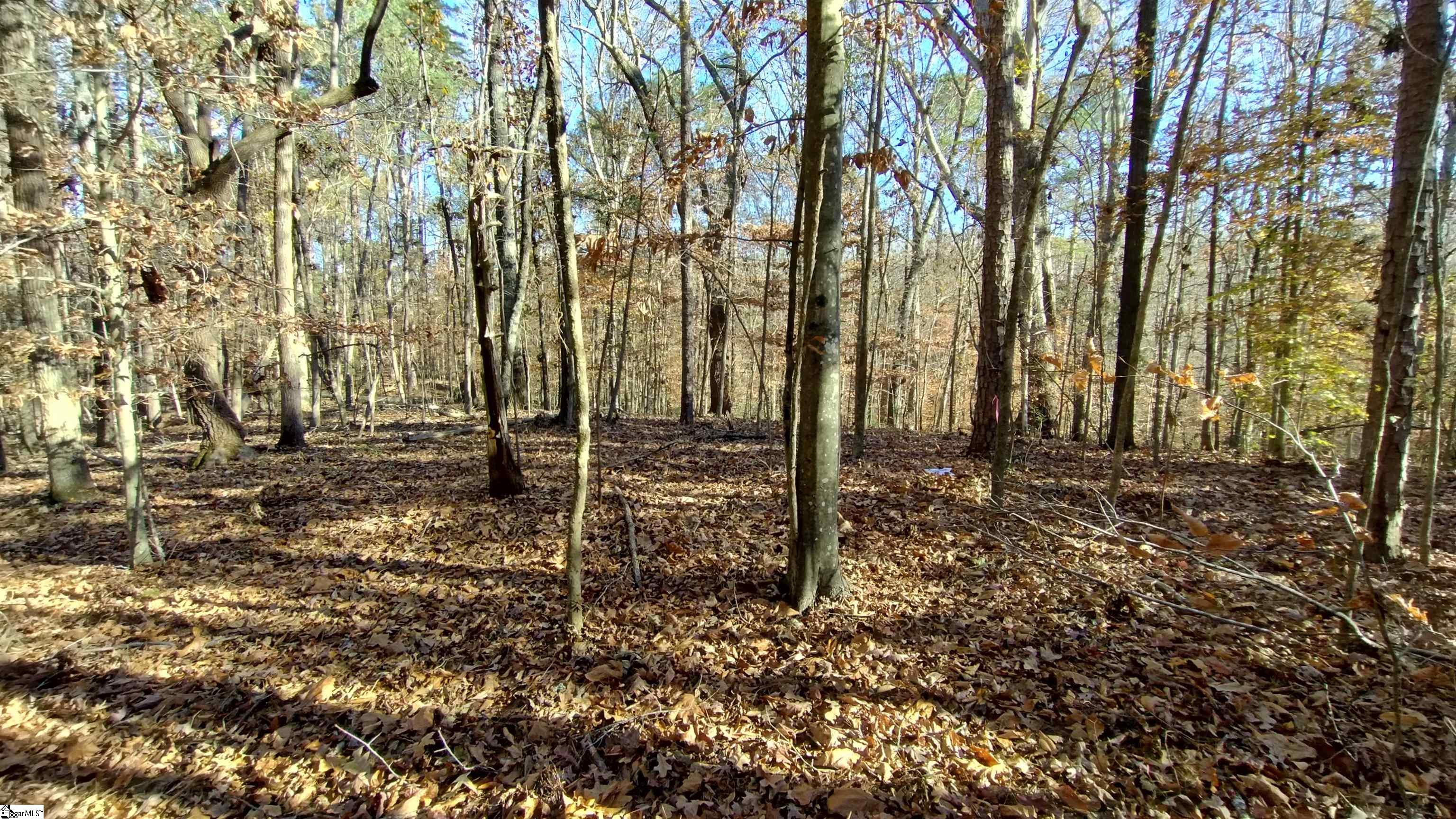 00A Patterson Road Laurens, SC 29360-8315