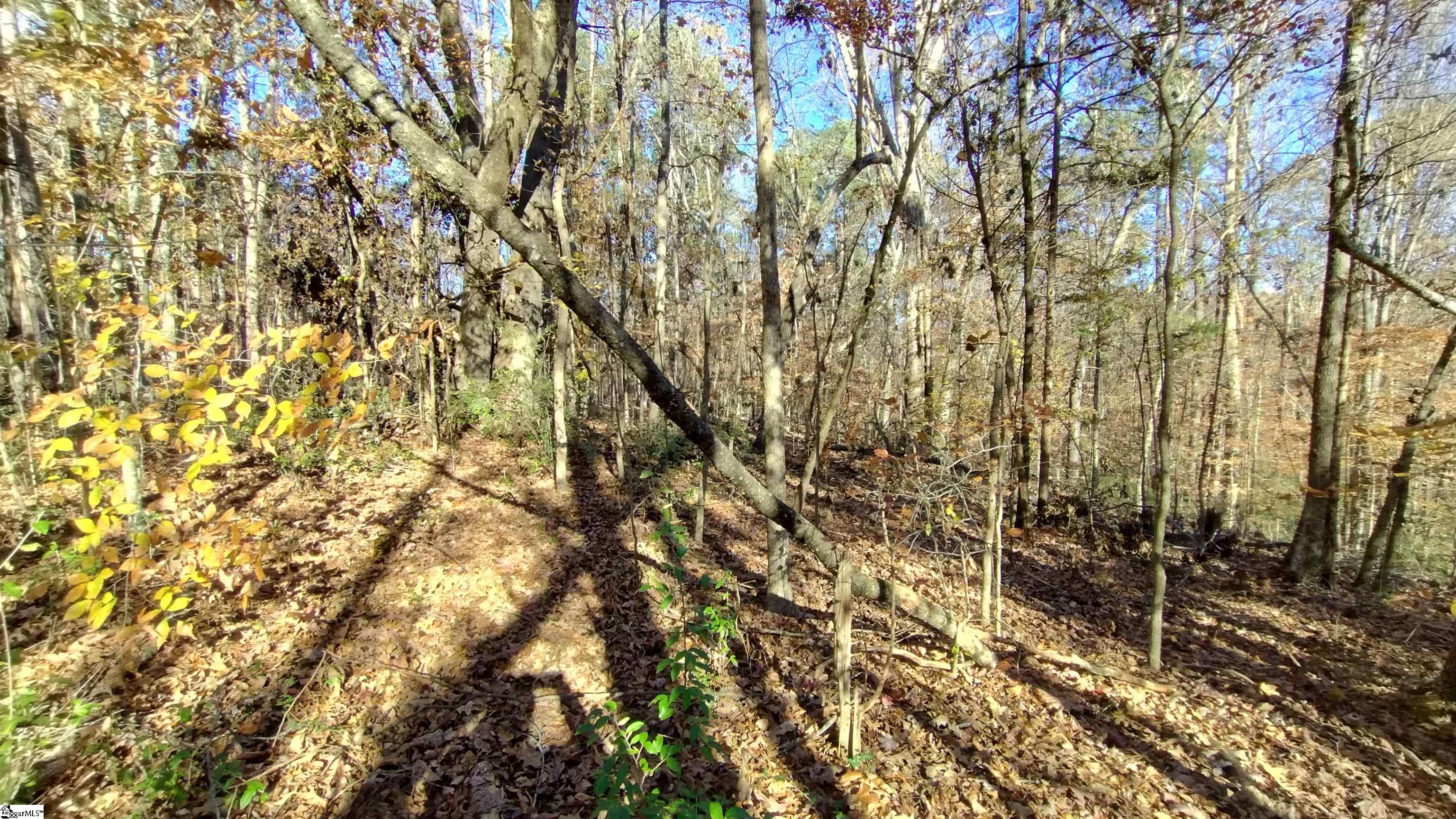 00A Patterson Road Laurens, SC 29360-8315