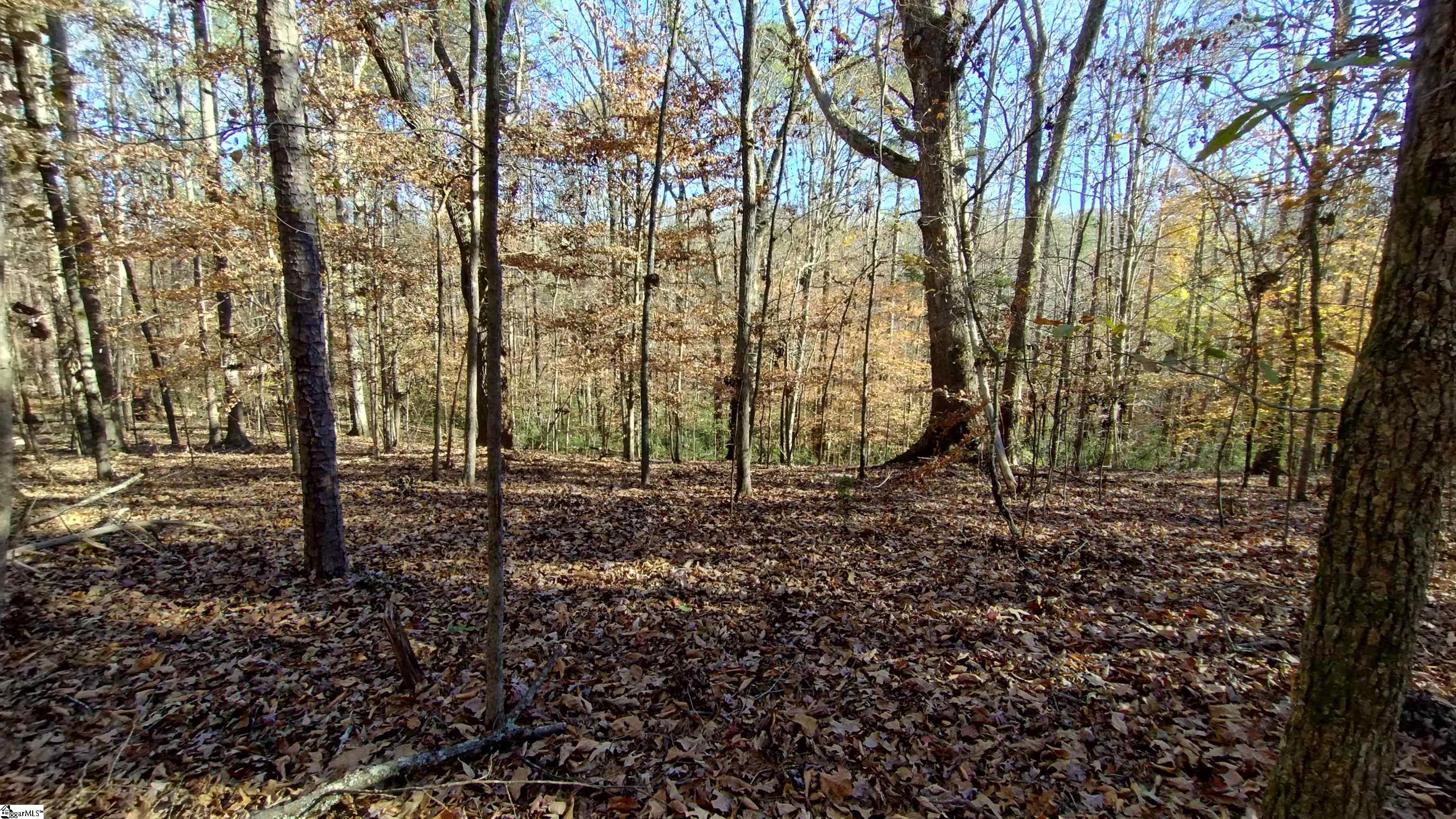 00A Patterson Road Laurens, SC 29360-8315