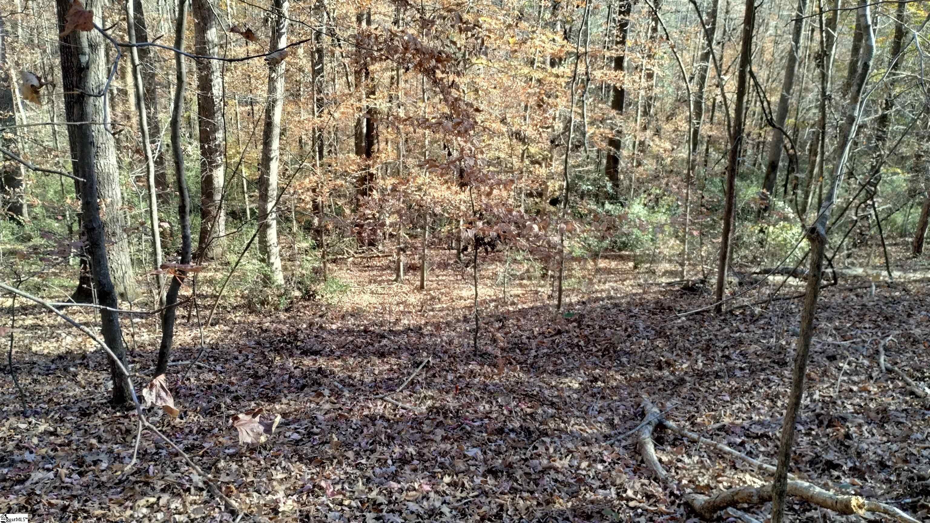 00A Patterson Road Laurens, SC 29360-8315
