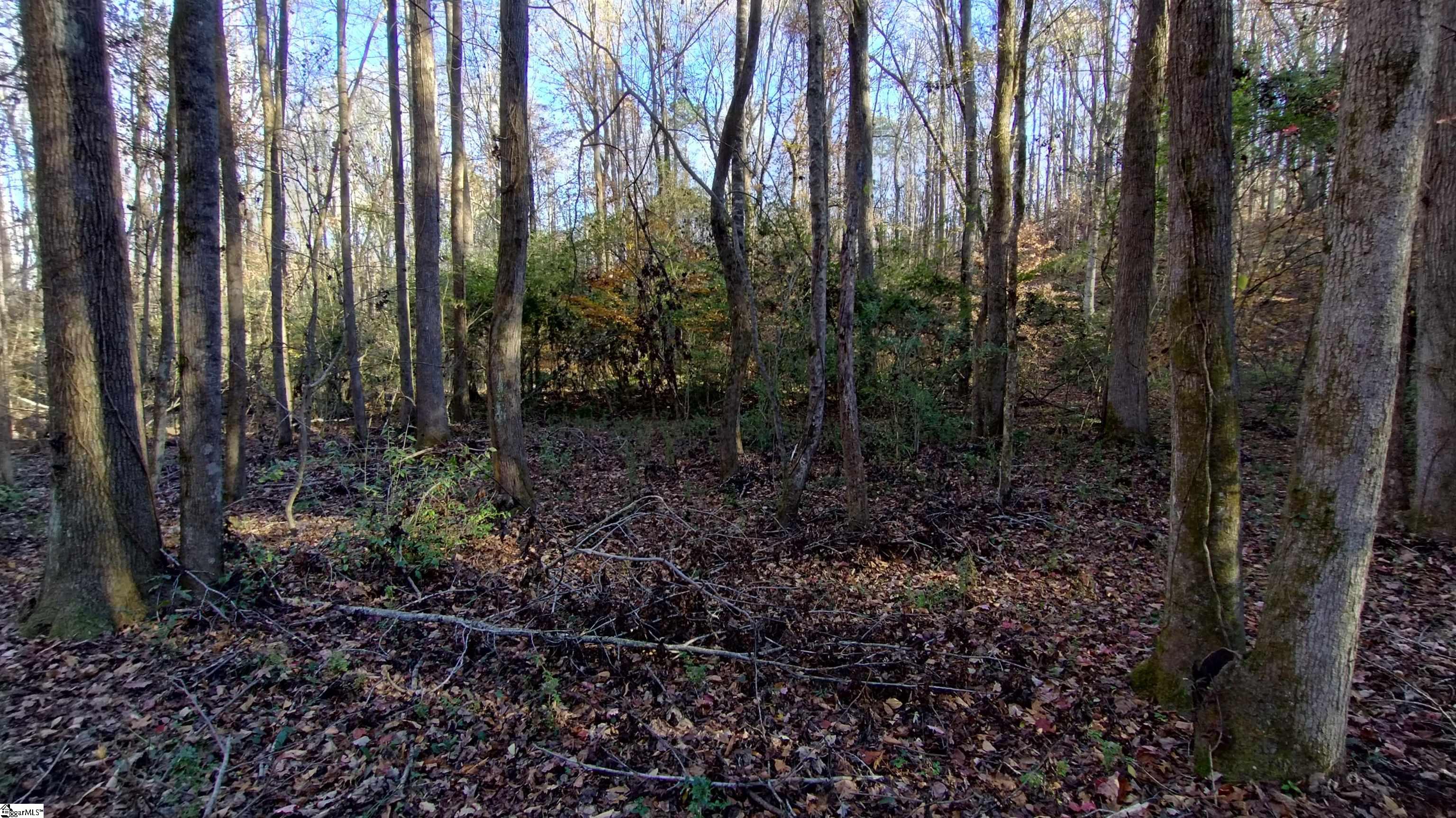 00B Blair Road Laurens, SC 29360-8315