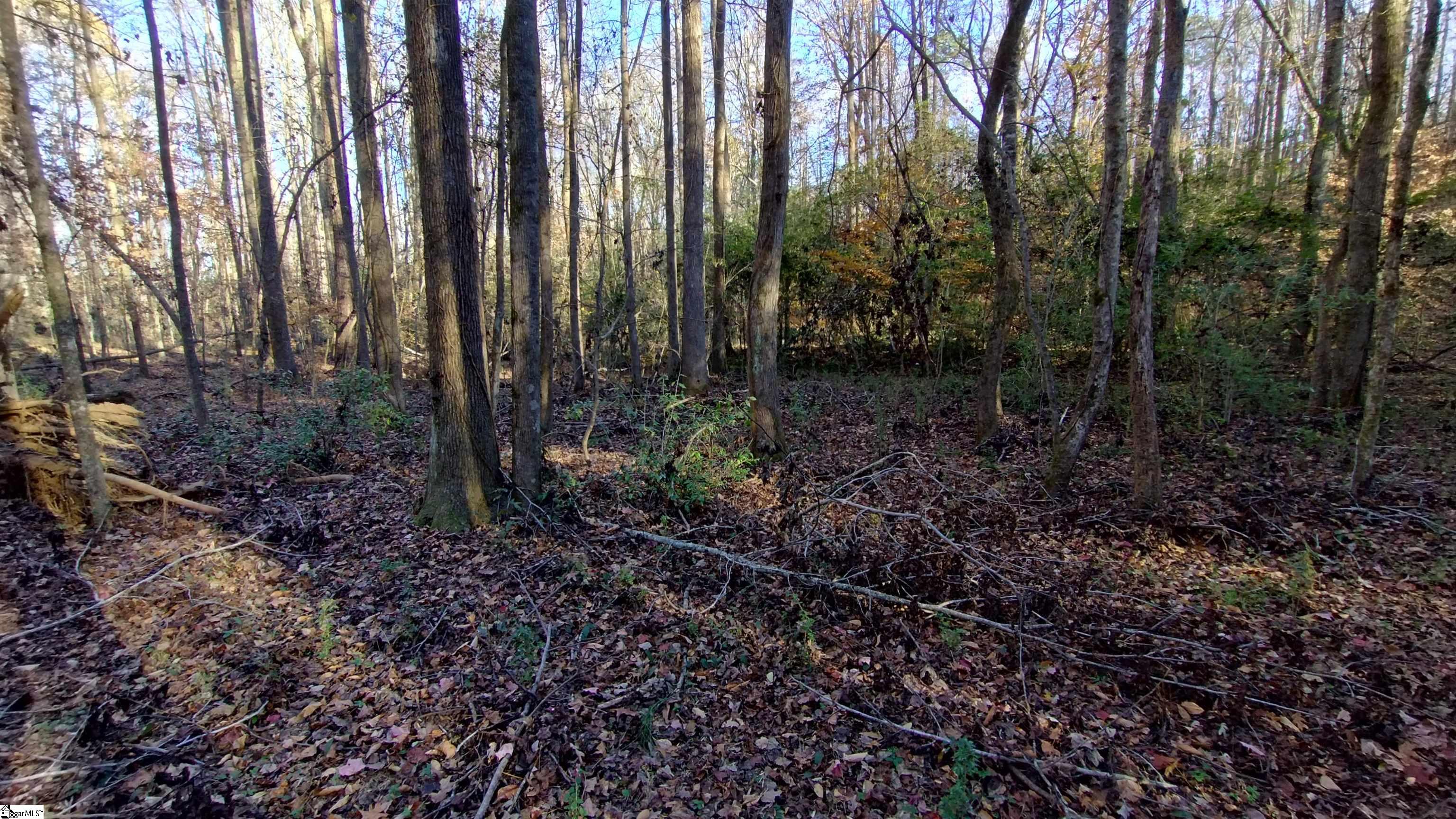 00B Blair Road Laurens, SC 29360-8315