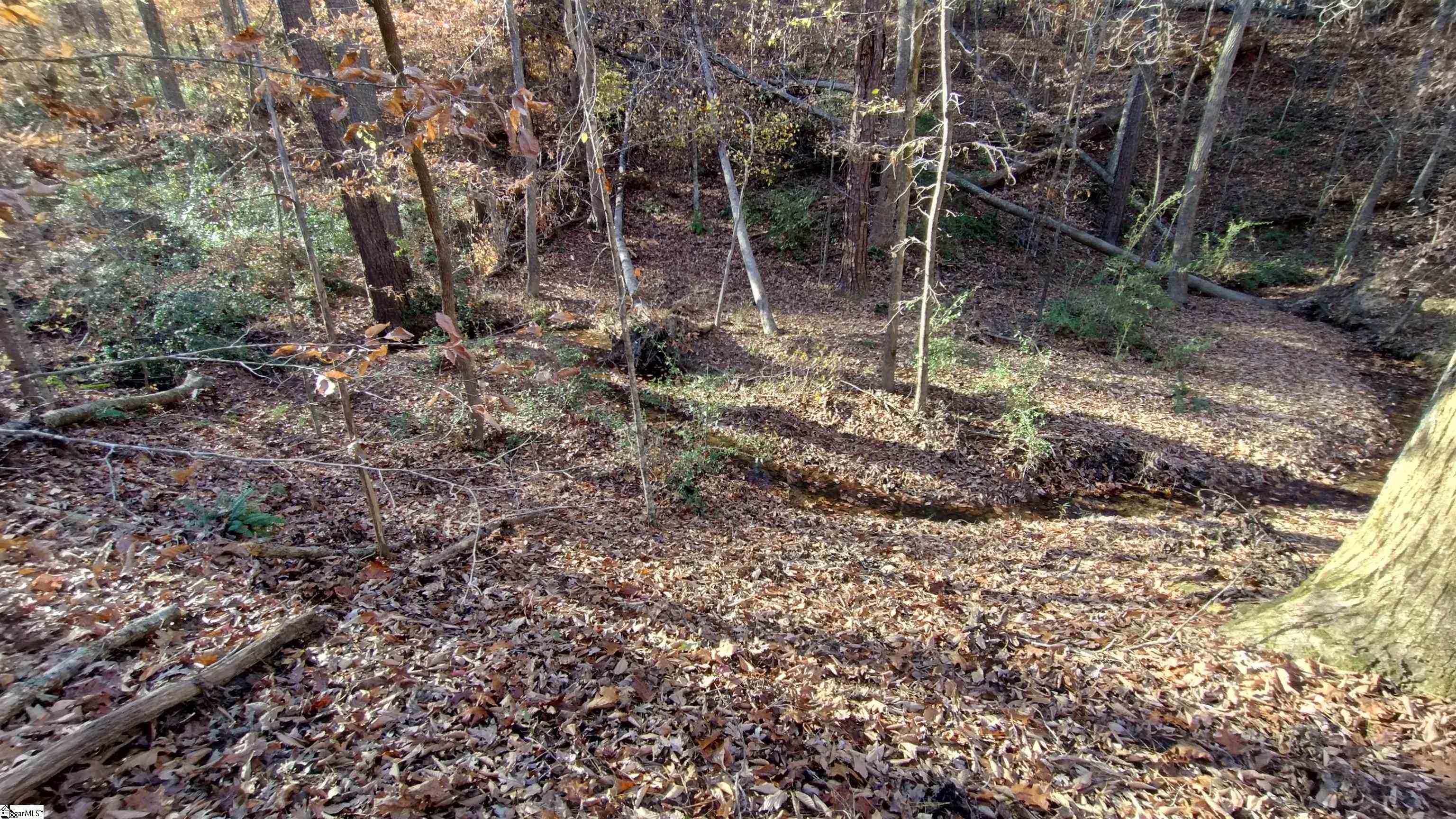 00B Blair Road Laurens, SC 29360-8315