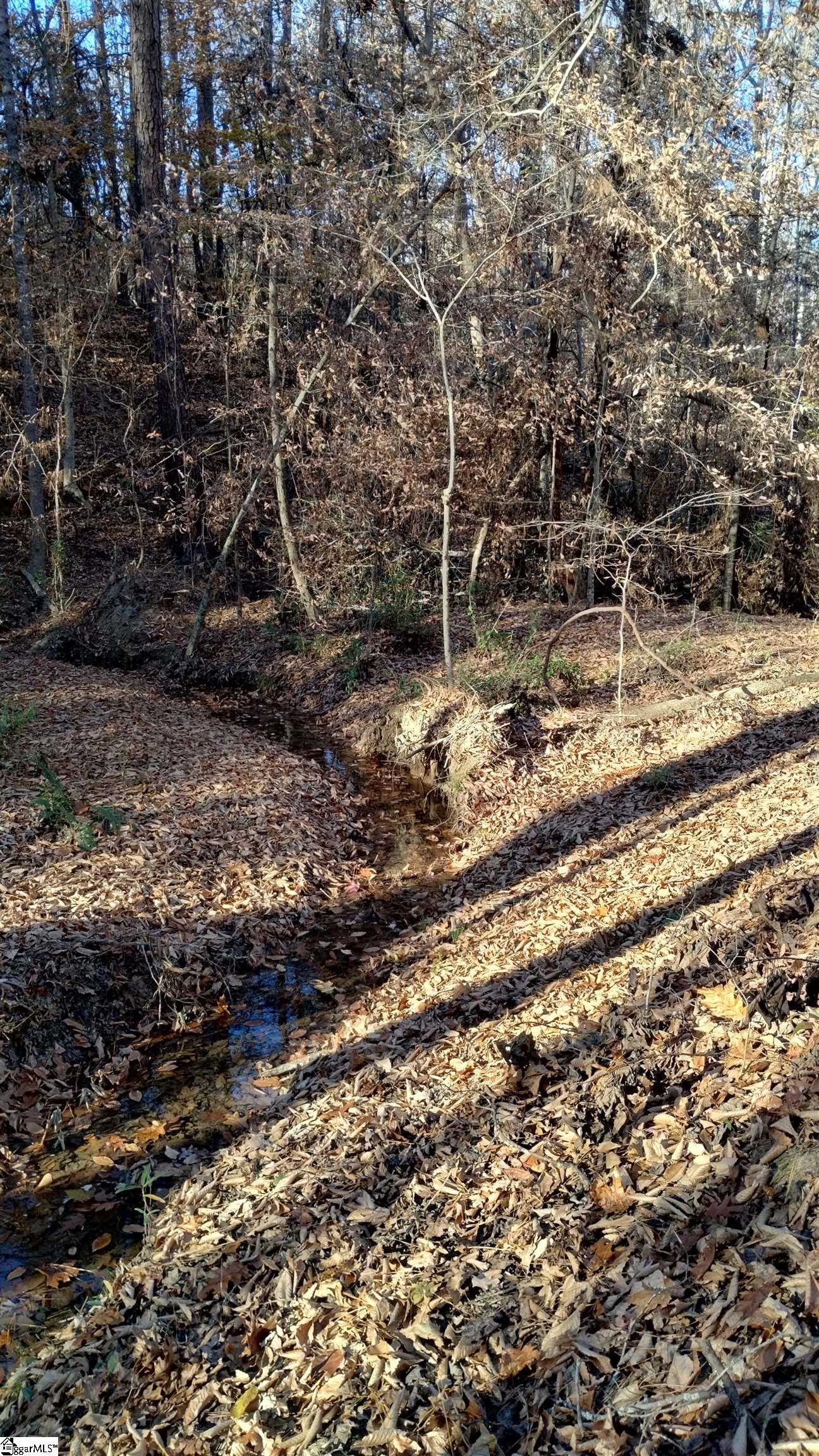 00B Blair Road Laurens, SC 29360-8315