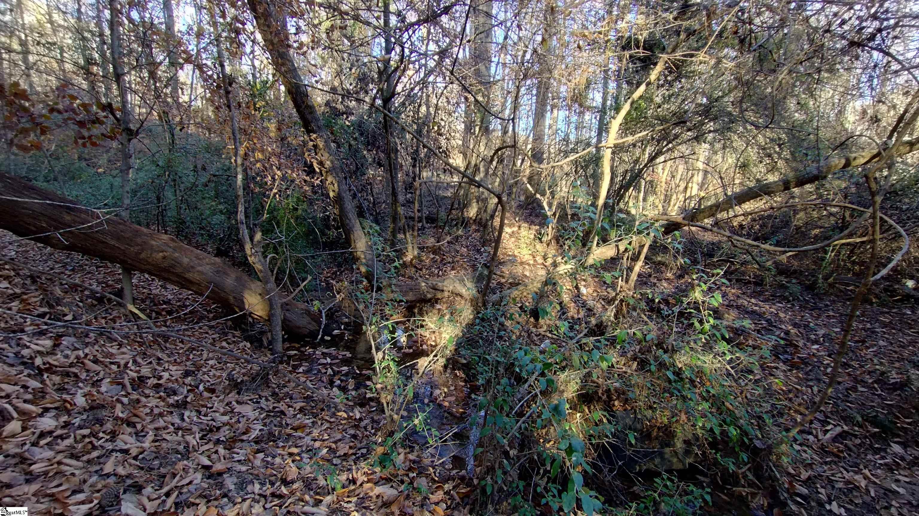 00B Blair Road Laurens, SC 29360-8315