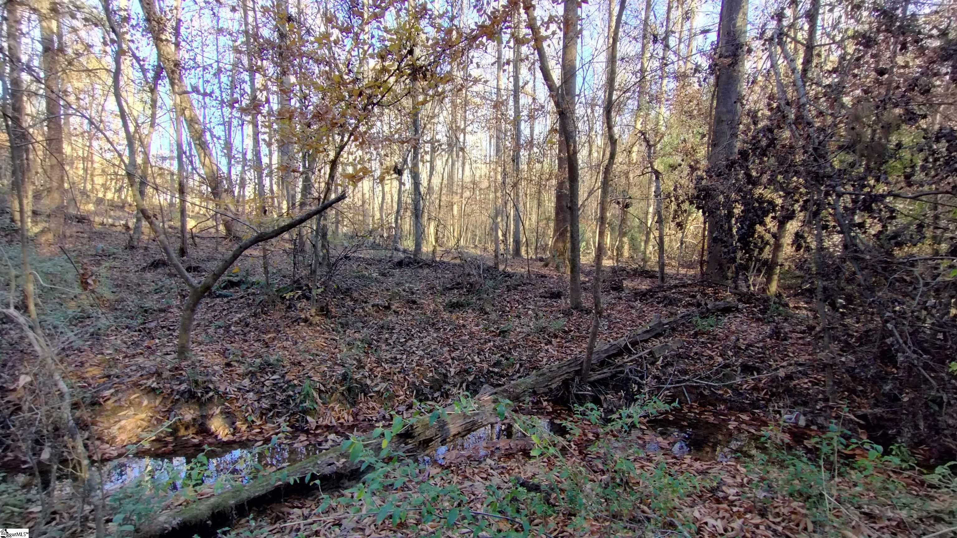 00B Blair Road Laurens, SC 29360-8315