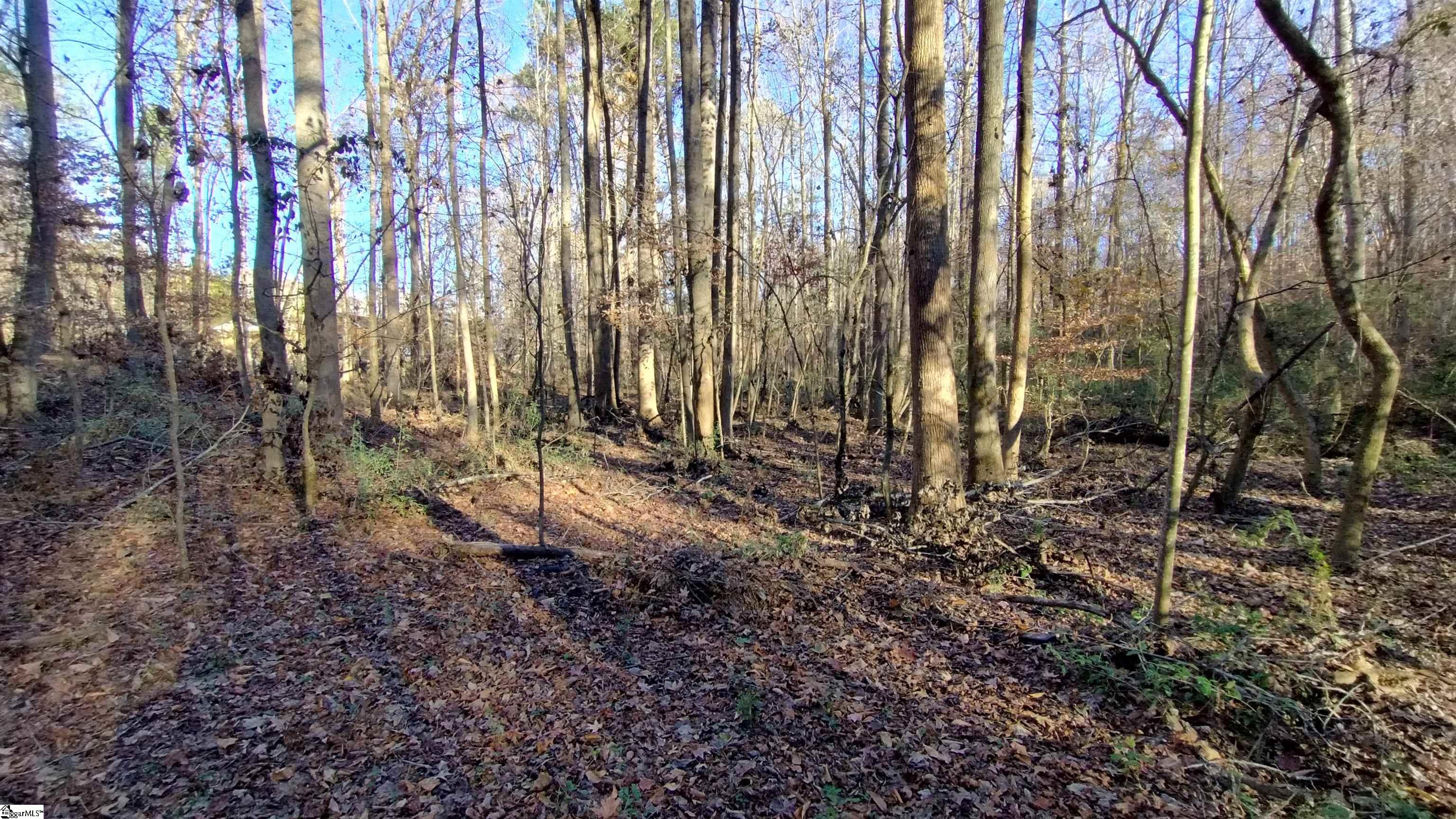 00B Blair Road Laurens, SC 29360-8315
