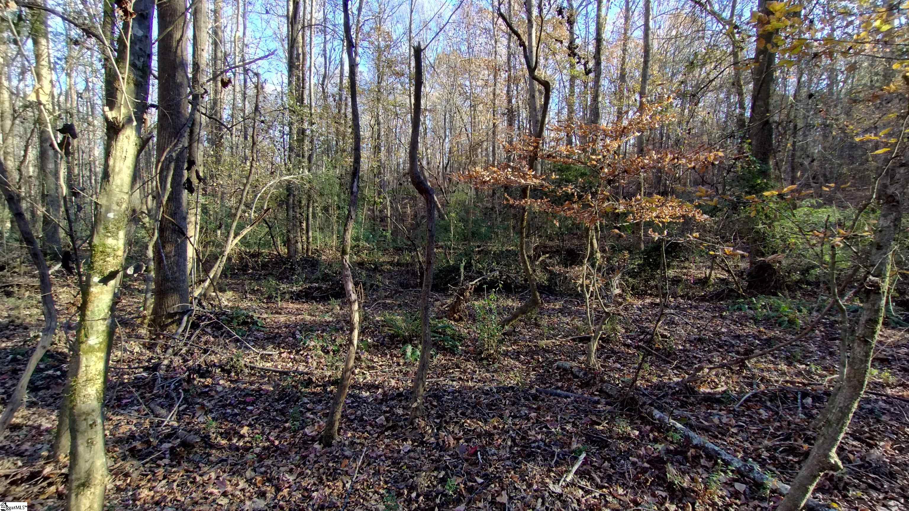 00B Blair Road Laurens, SC 29360-8315