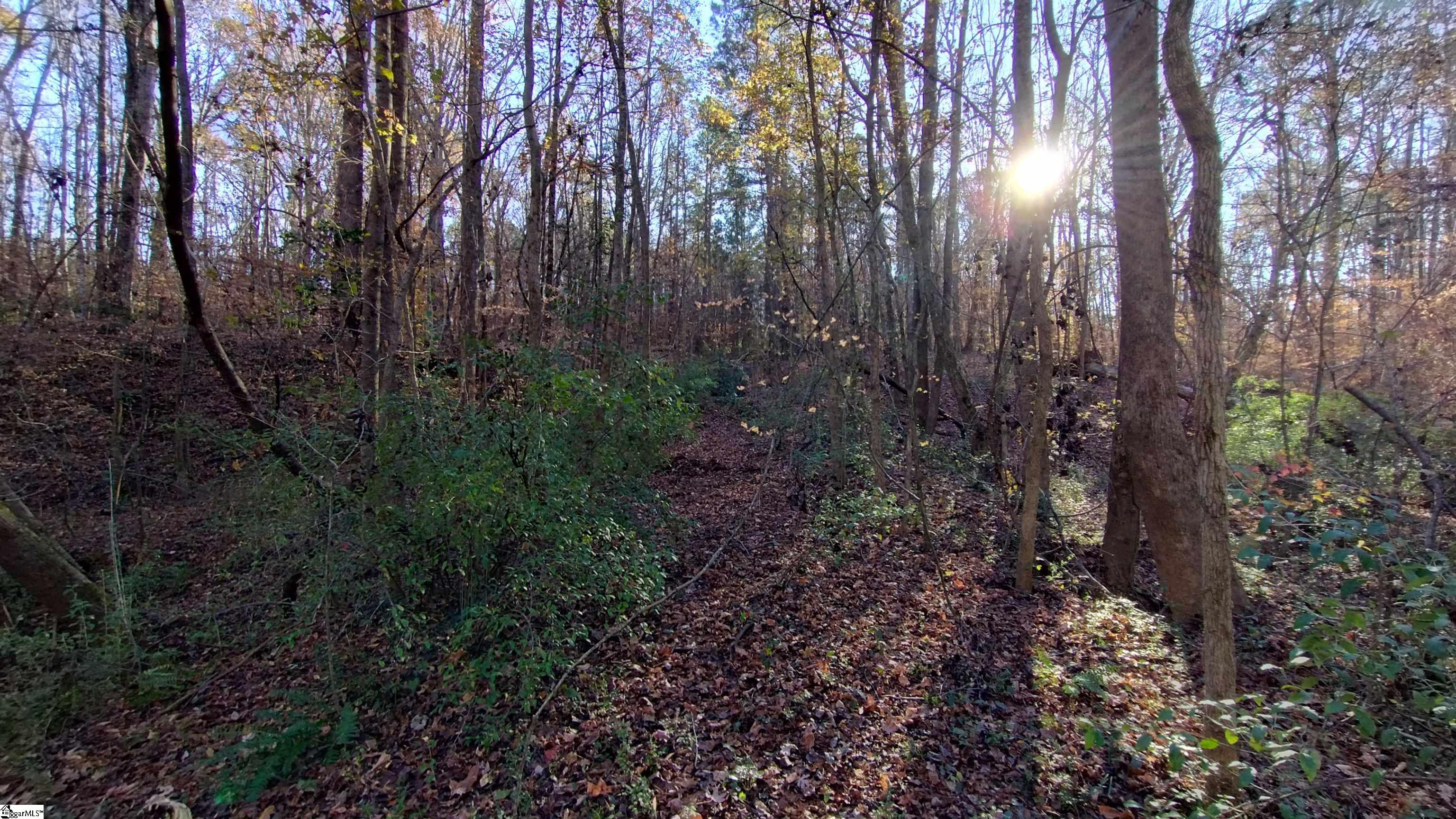 00B Blair Road Laurens, SC 29360-8315