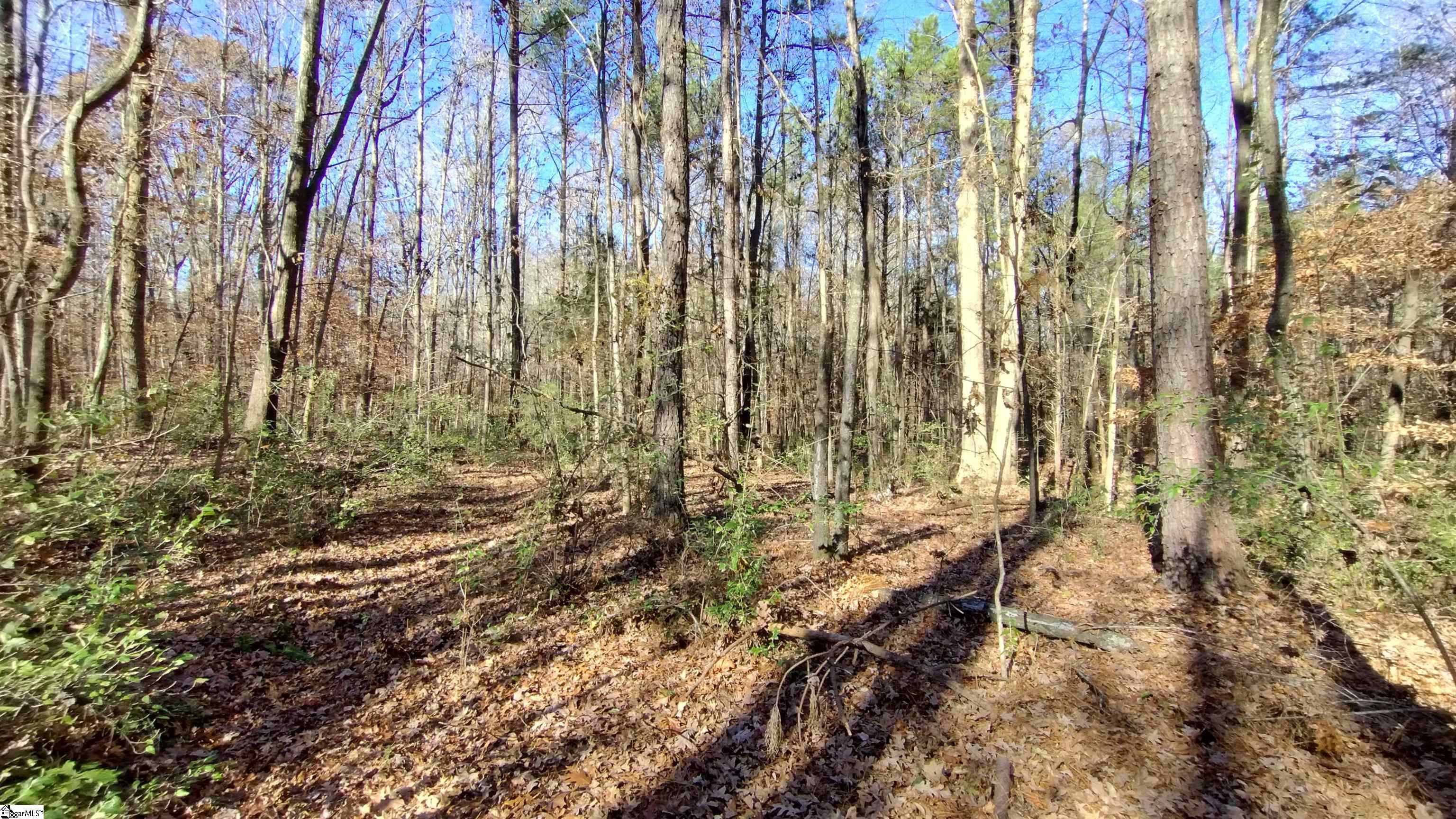 00A Sullivan Road Laurens, SC 29360-8315