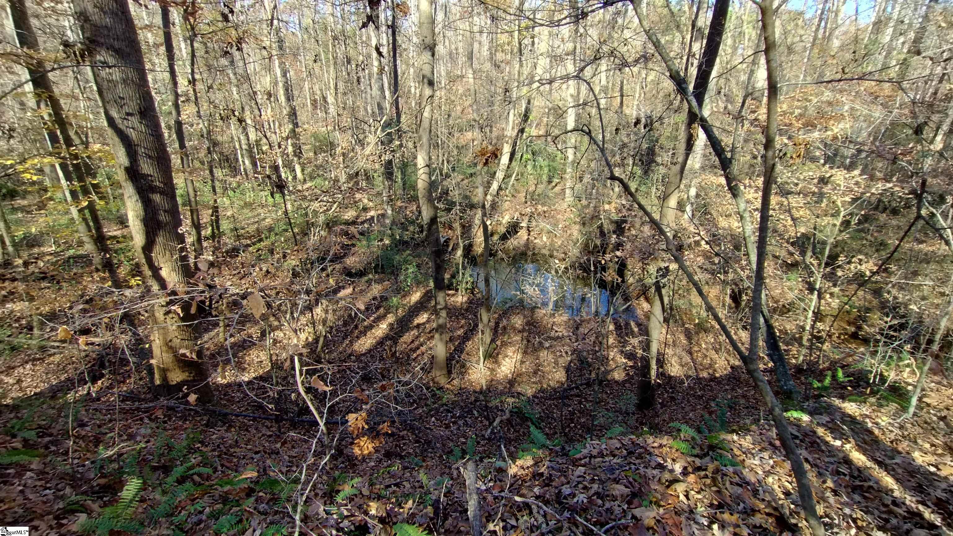 00A Sullivan Road Laurens, SC 29360-8315