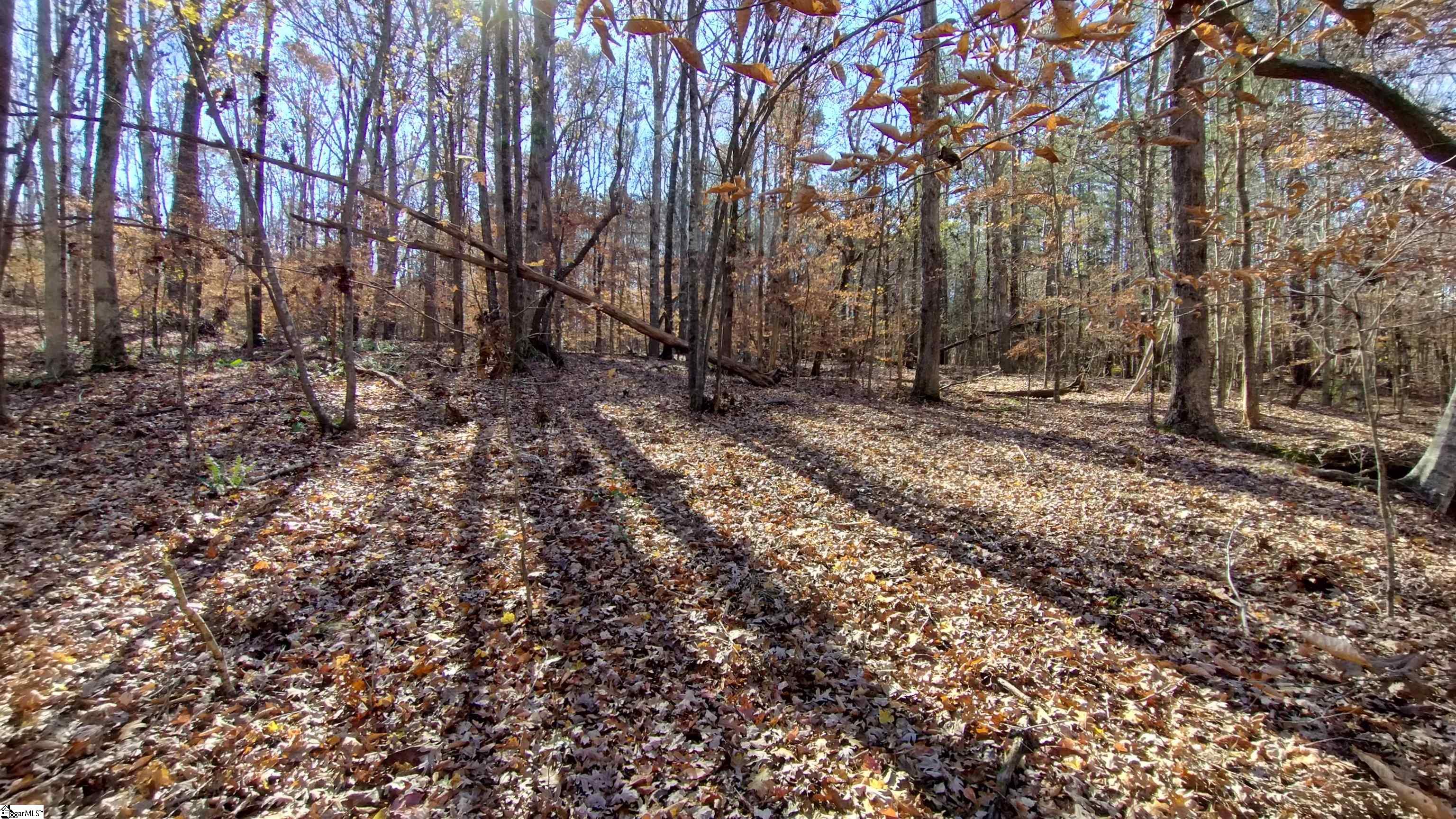 00A Sullivan Road Laurens, SC 29360-8315